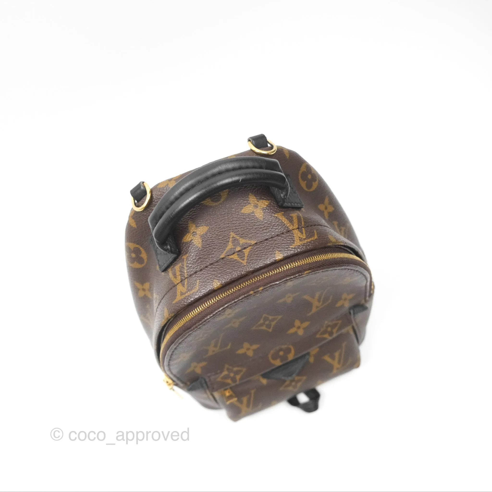 Louis Vuitton Mini Palm Springs Backpack Monogram