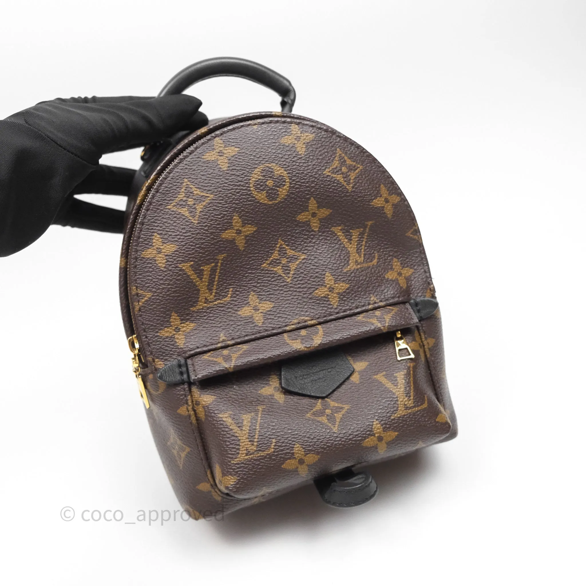 Louis Vuitton Mini Palm Springs Backpack Monogram