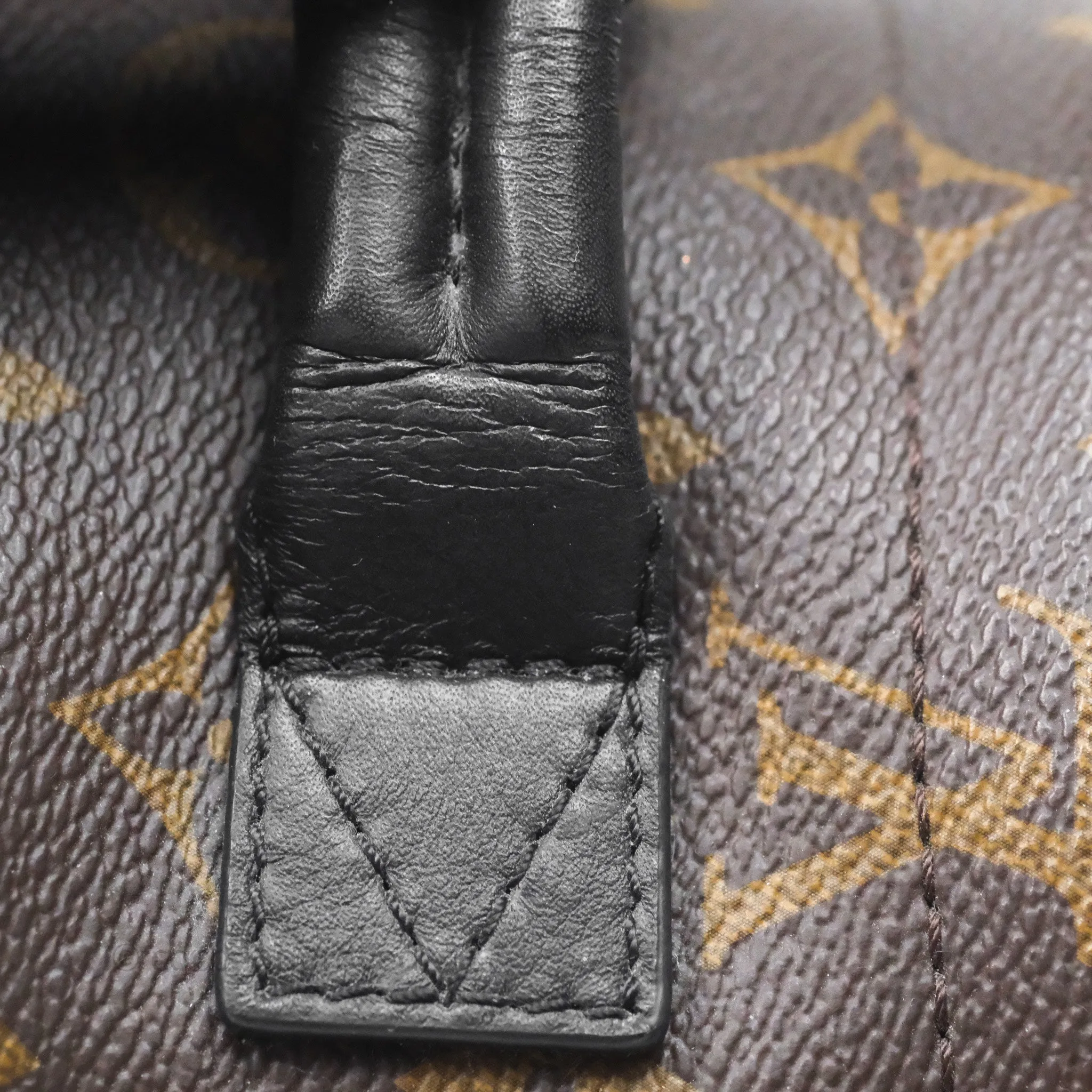 Louis Vuitton Mini Palm Springs Backpack Monogram