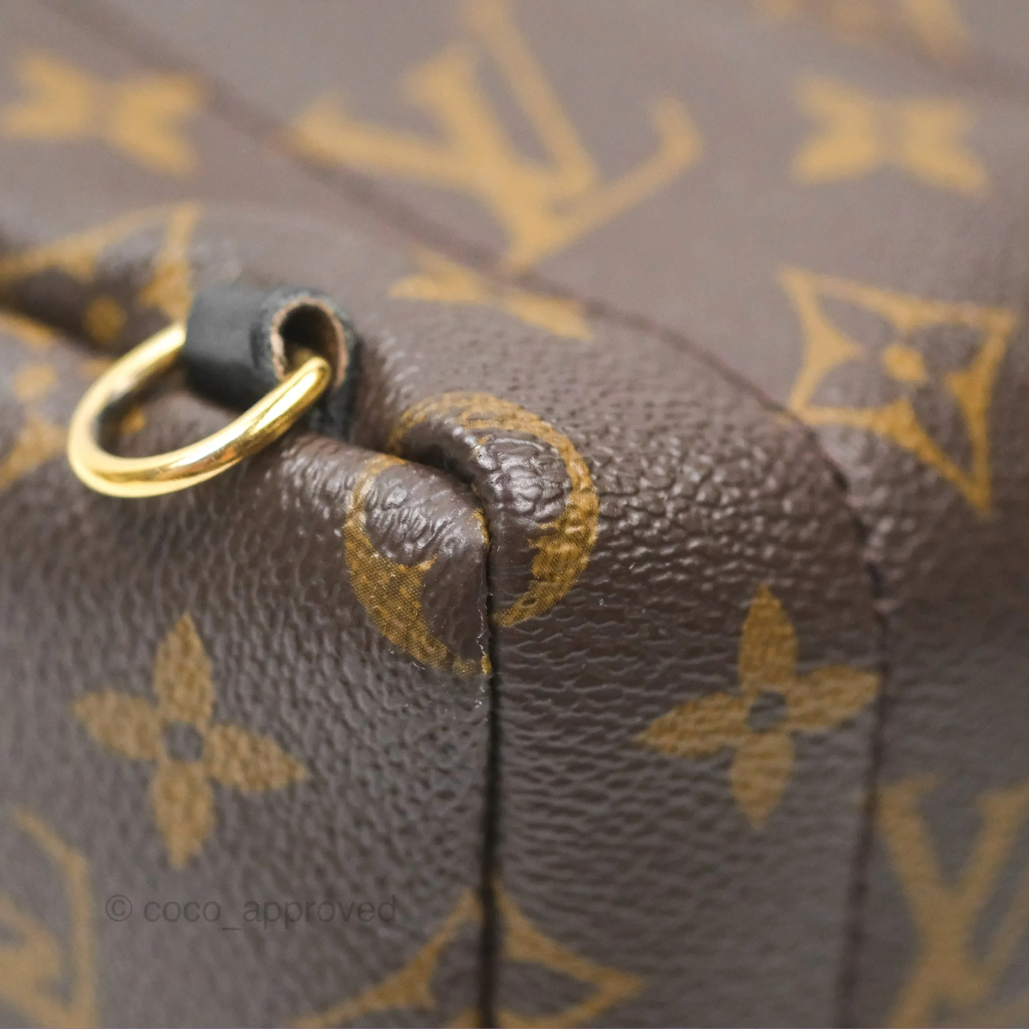 Louis Vuitton Mini Palm Springs Backpack Monogram