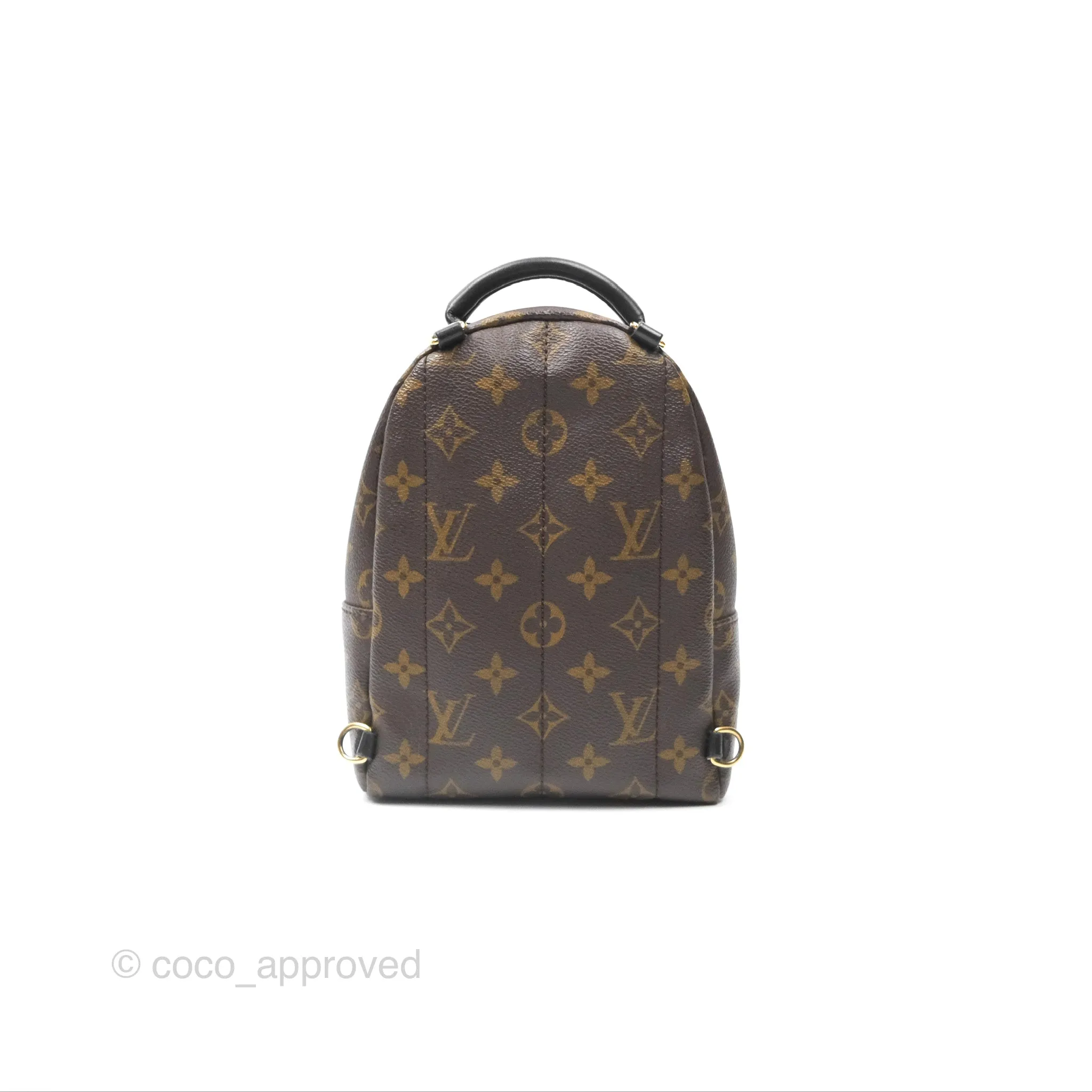 Louis Vuitton Mini Palm Springs Backpack Monogram