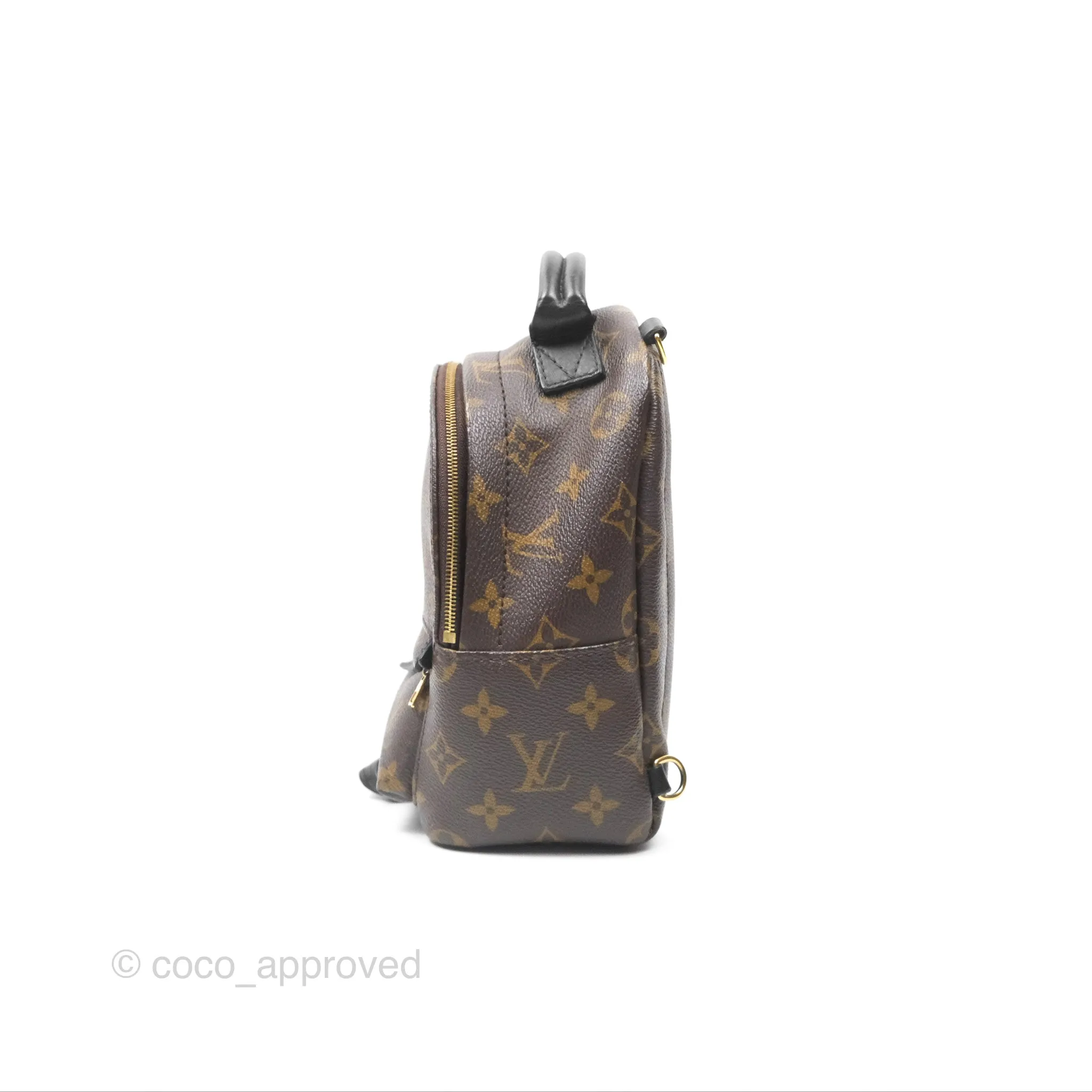 Louis Vuitton Mini Palm Springs Backpack Monogram