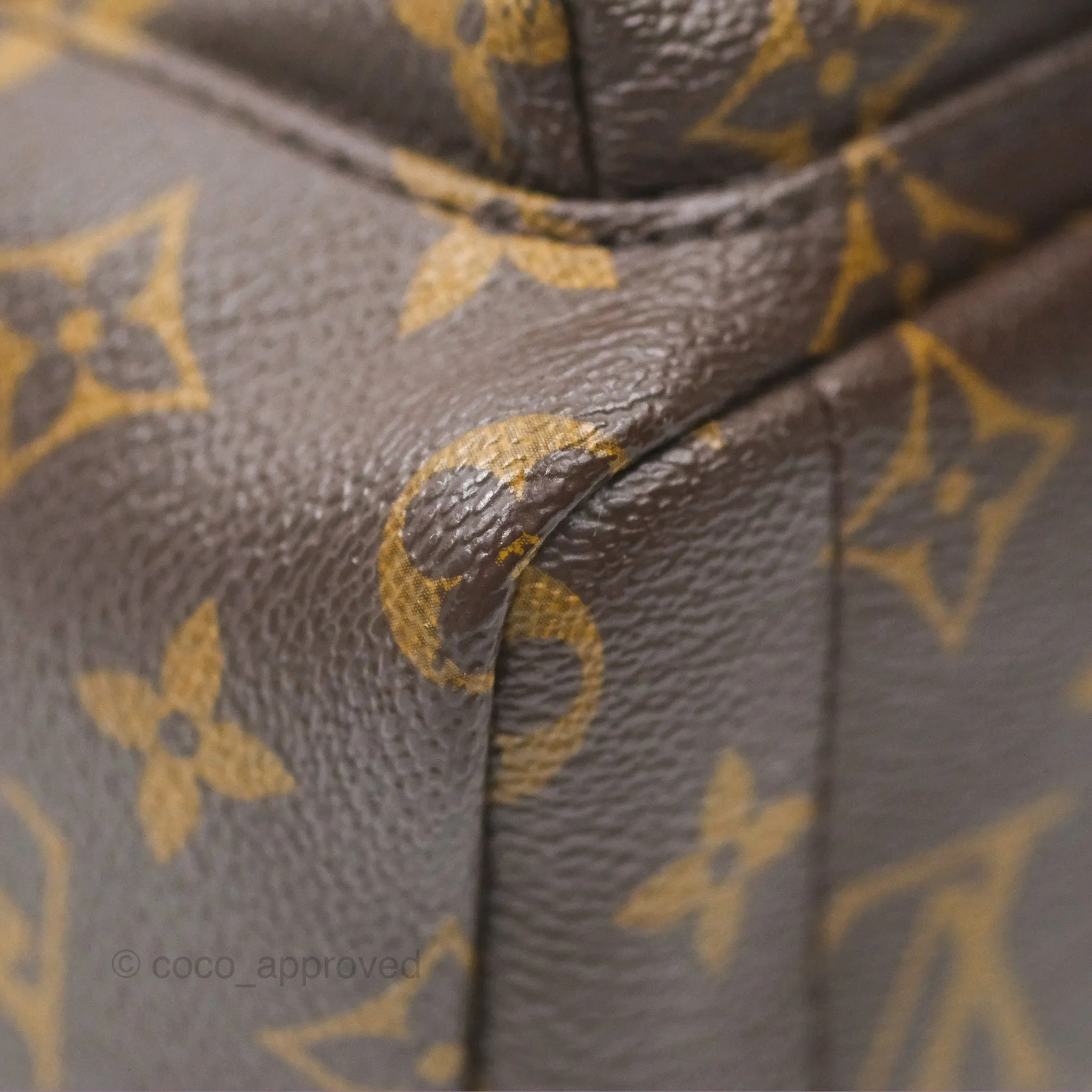 Louis Vuitton Mini Palm Springs Backpack Monogram