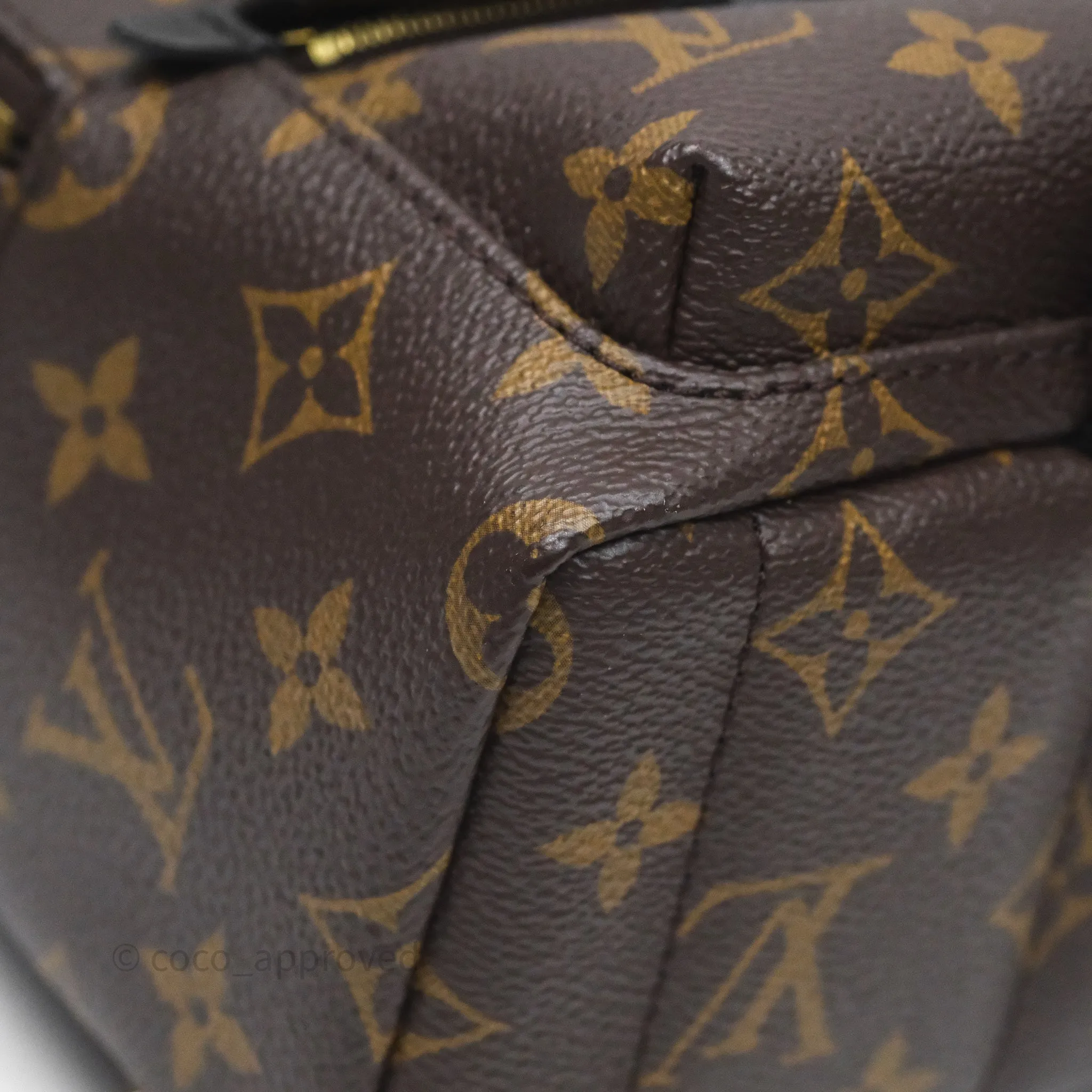 Louis Vuitton Mini Palm Springs Backpack Monogram