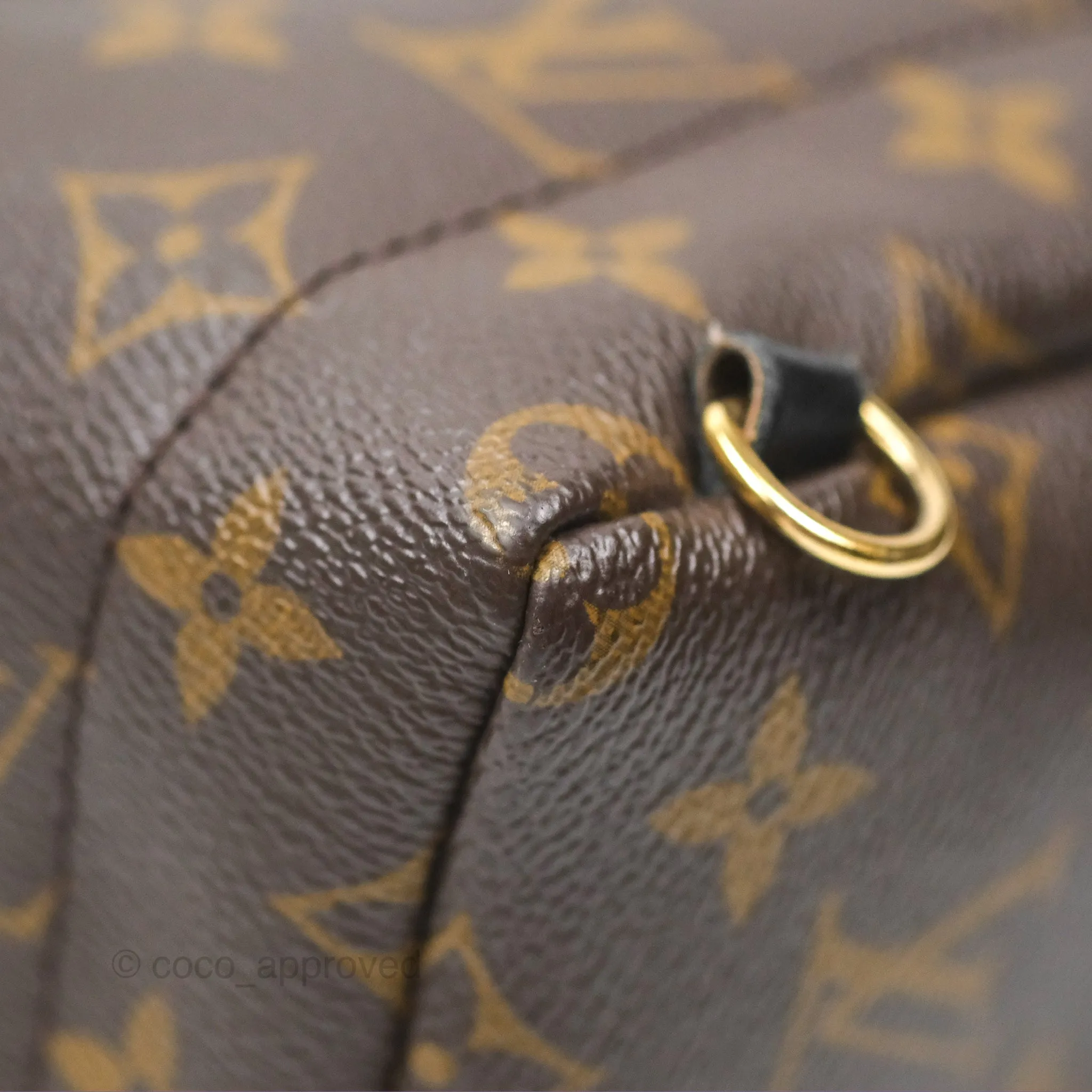 Louis Vuitton Mini Palm Springs Backpack Monogram