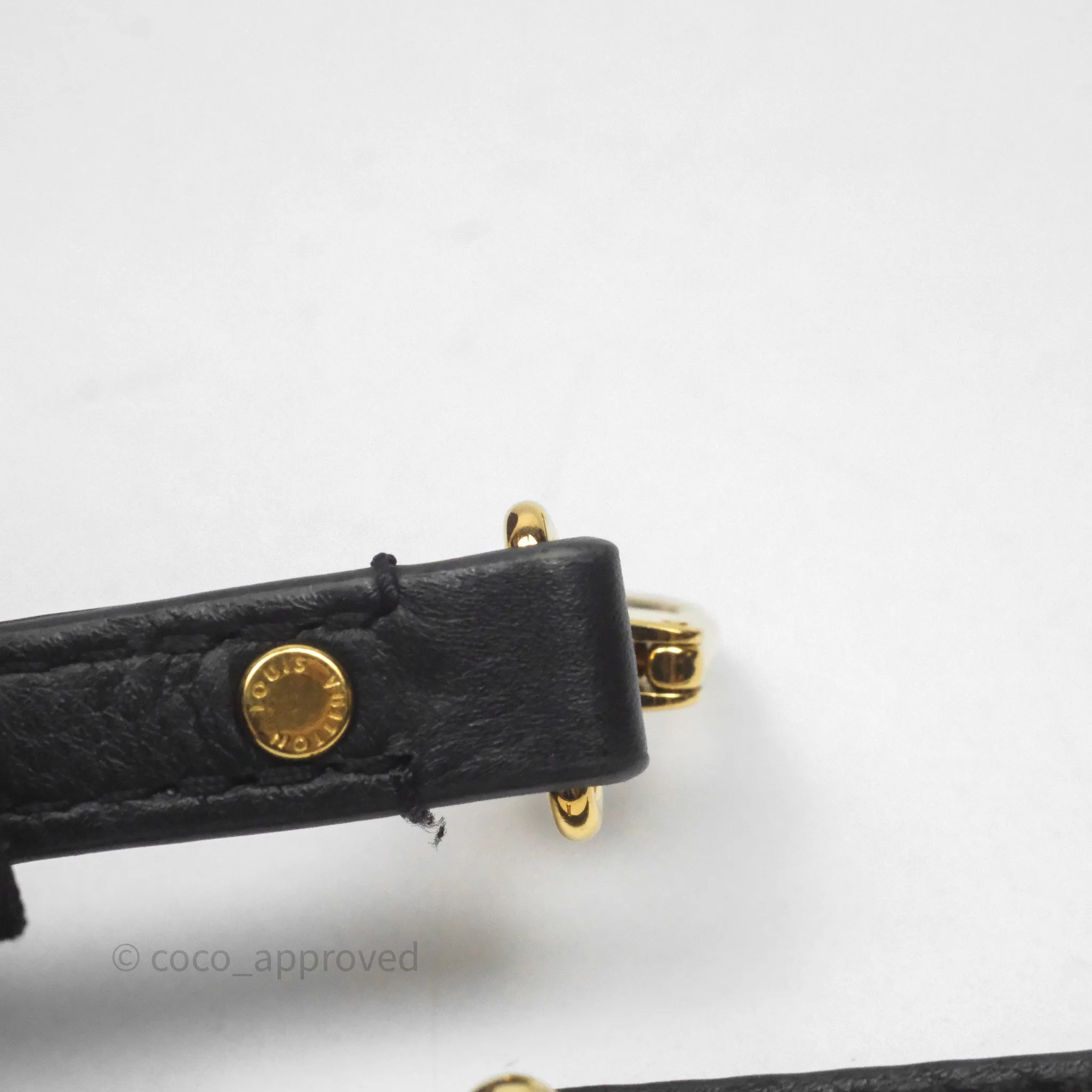 Louis Vuitton Mini Palm Springs Backpack Monogram