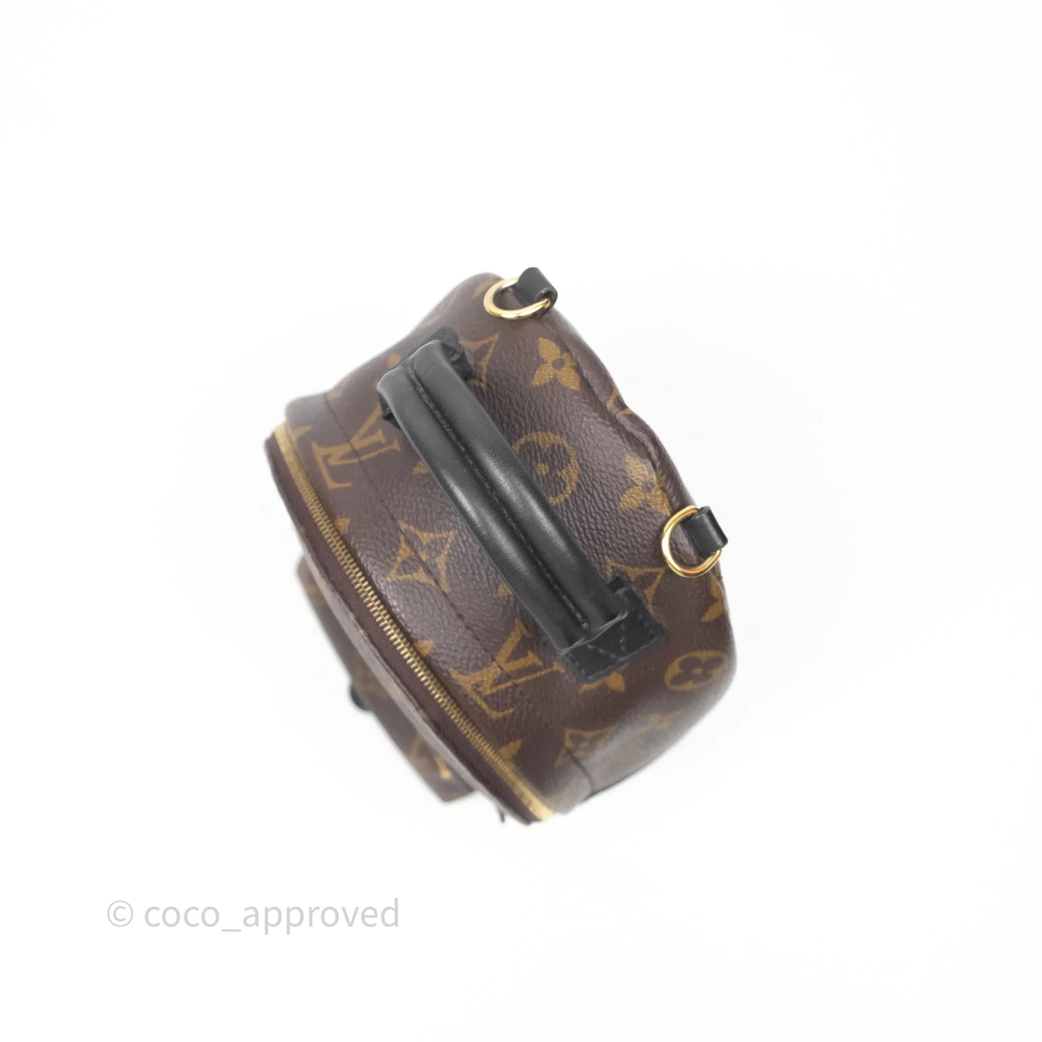 Louis Vuitton Mini Palm Springs Backpack Monogram