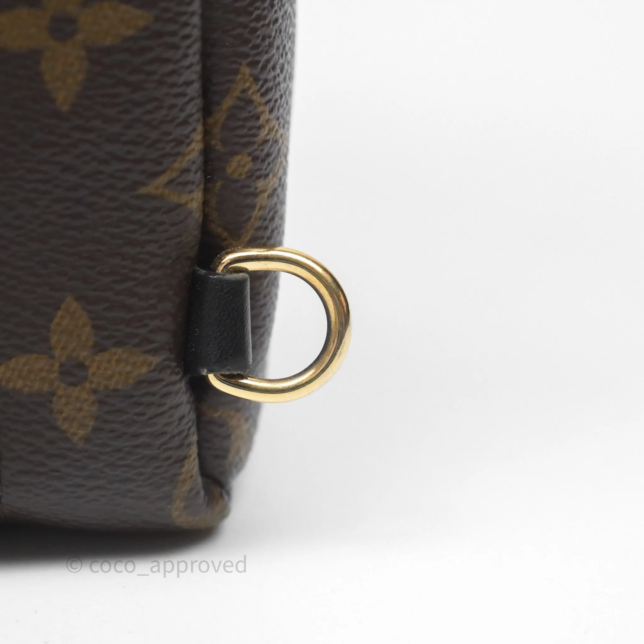 Louis Vuitton Mini Palm Springs Backpack Monogram