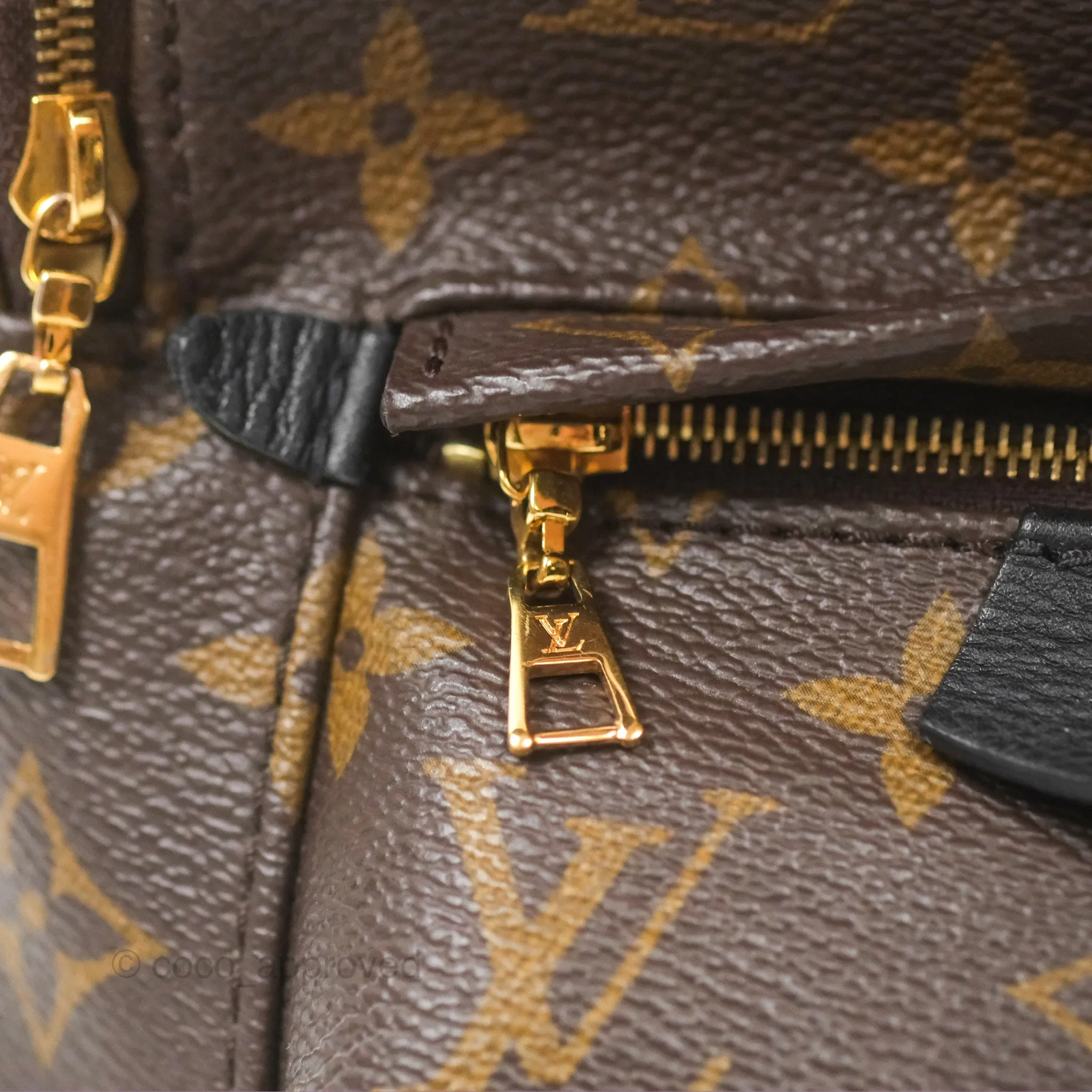 Louis Vuitton Mini Palm Springs Backpack Monogram