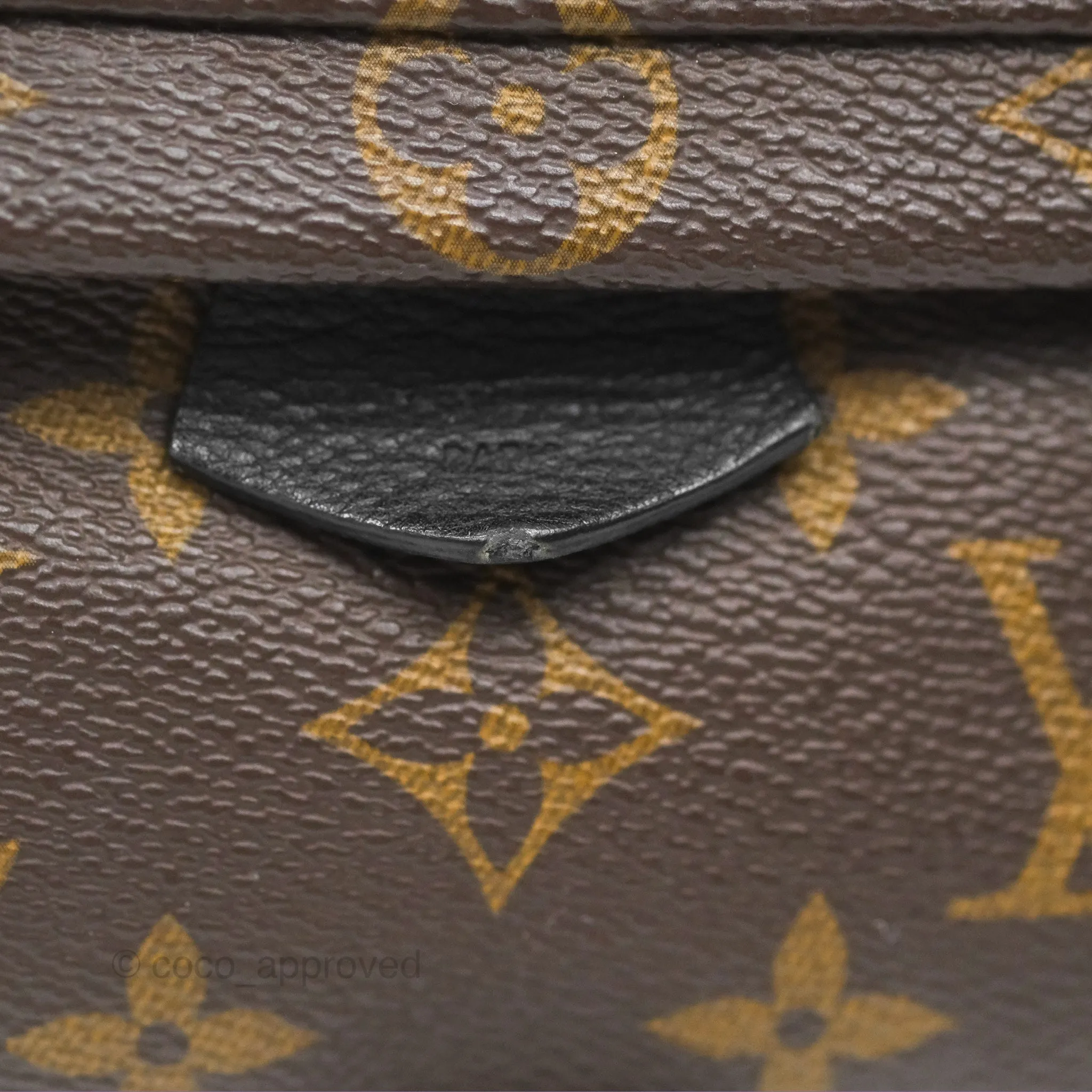 Louis Vuitton Mini Palm Springs Backpack Monogram