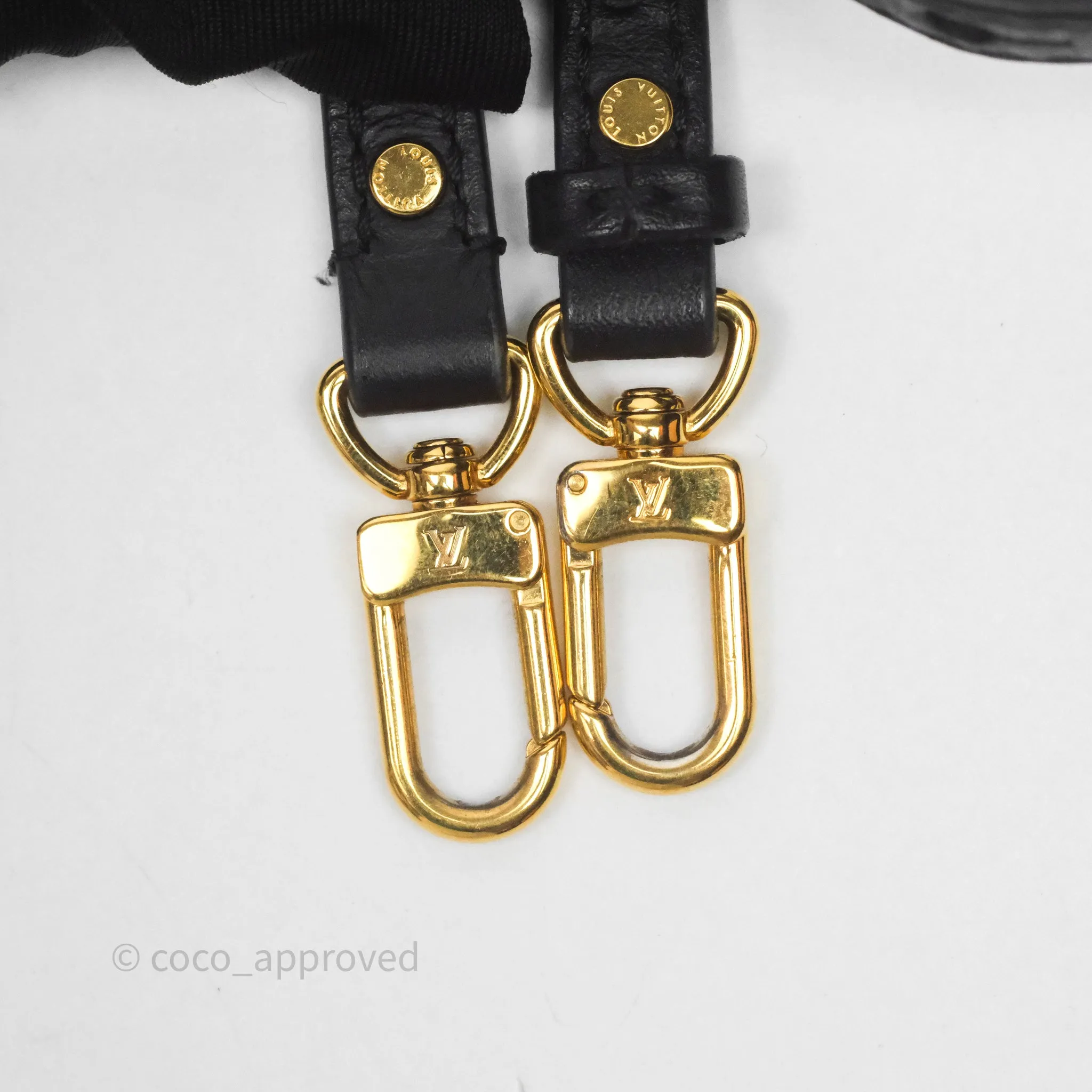 Louis Vuitton Mini Palm Springs Backpack Monogram