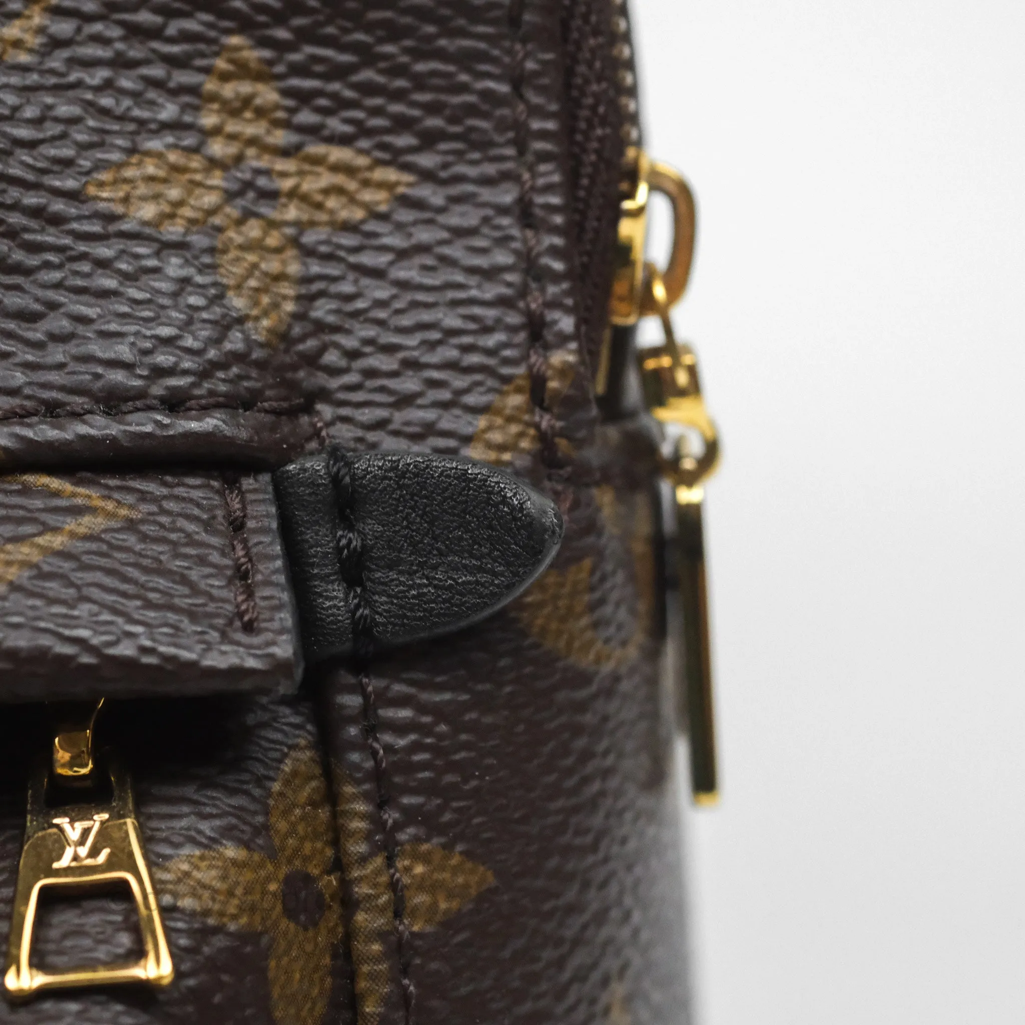 Louis Vuitton Mini Palm Springs Backpack Monogram