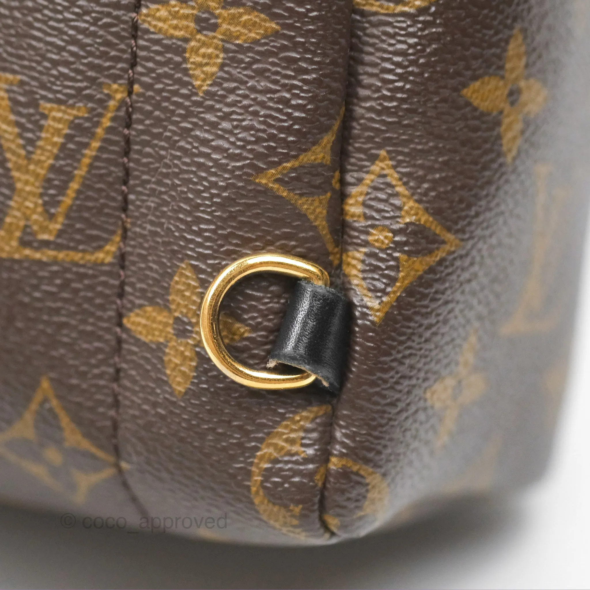 Louis Vuitton Mini Palm Springs Backpack Monogram