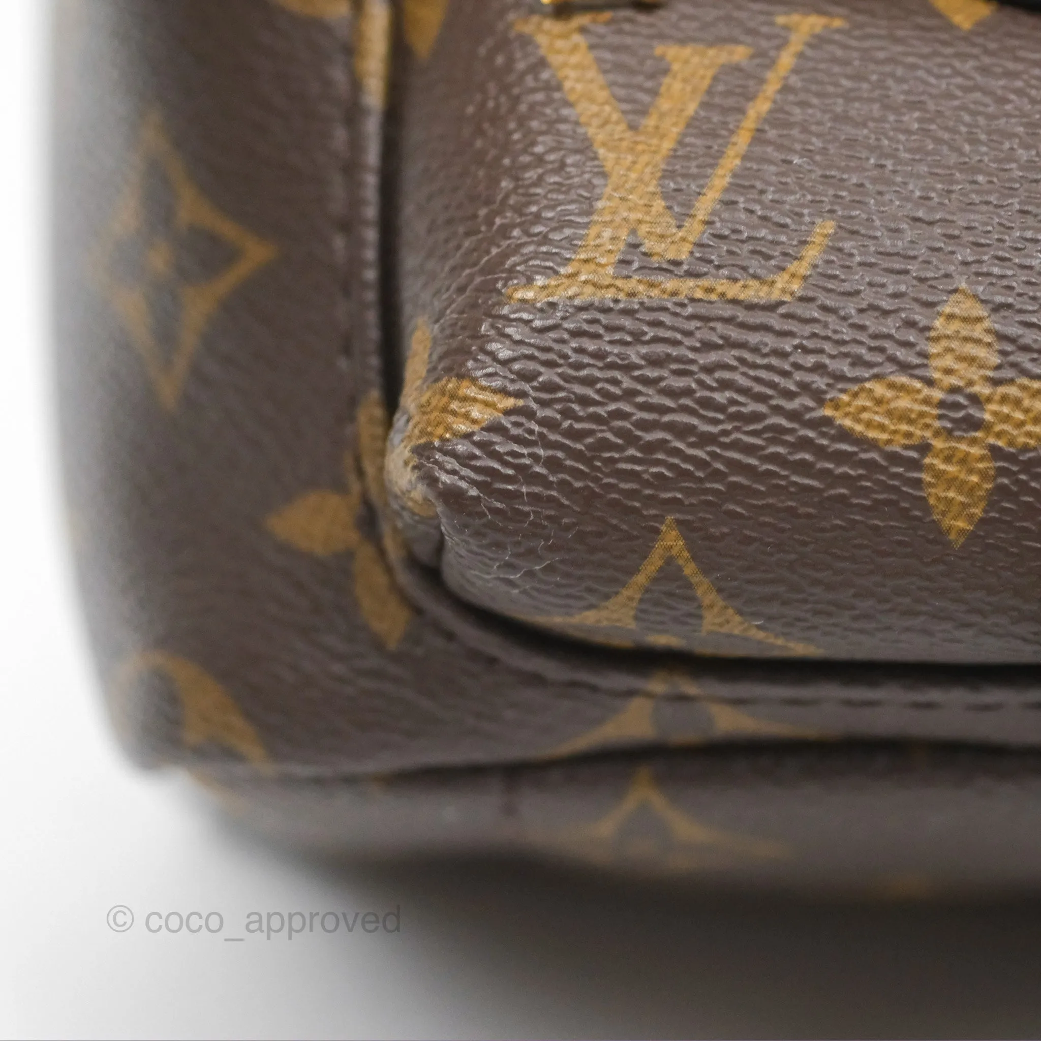 Louis Vuitton Mini Palm Springs Backpack Monogram