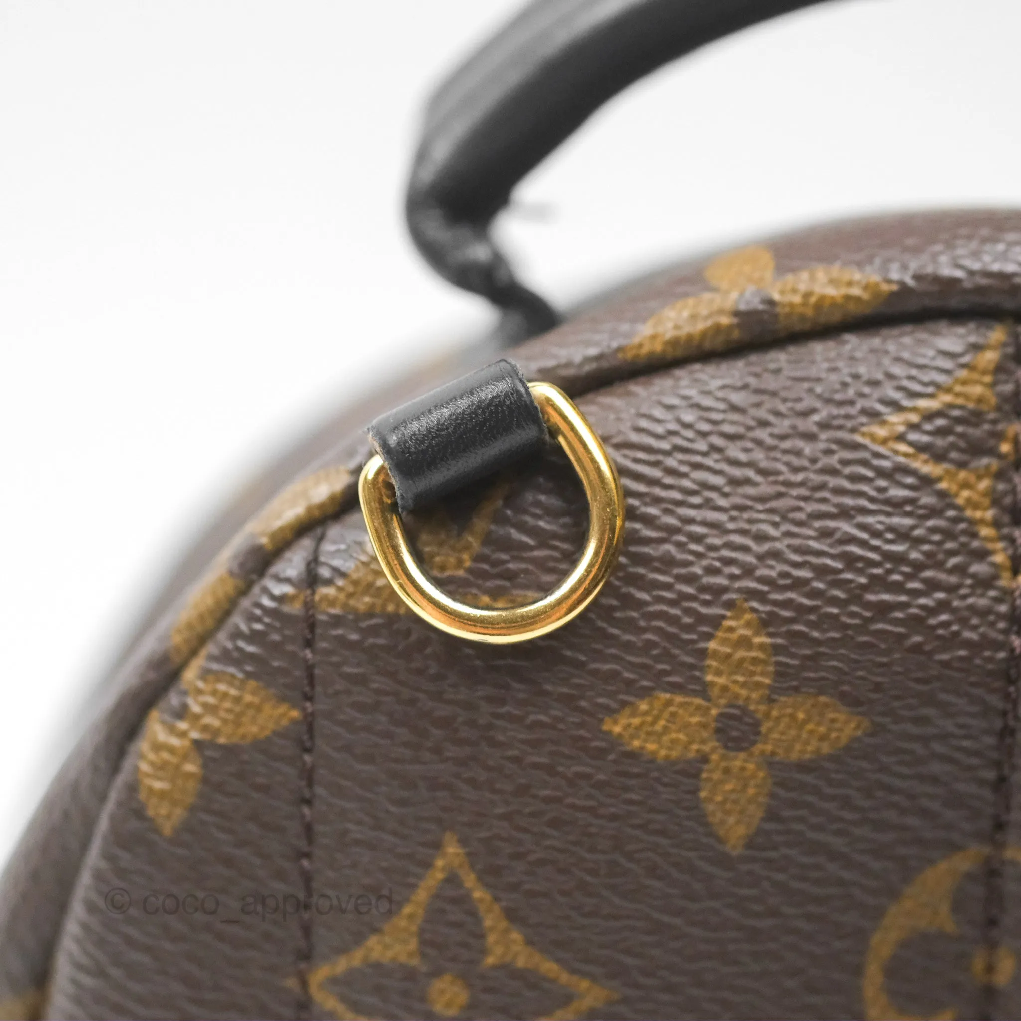 Louis Vuitton Mini Palm Springs Backpack Monogram