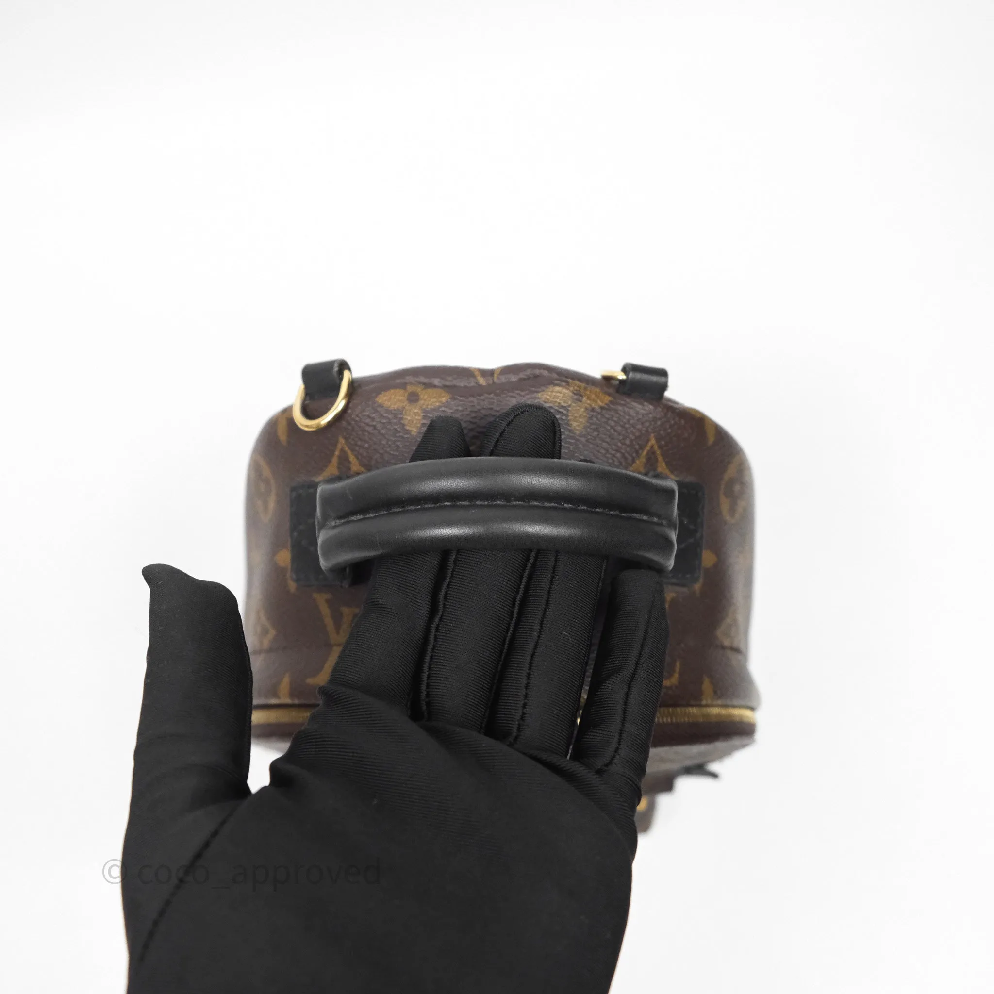 Louis Vuitton Mini Palm Springs Backpack Monogram