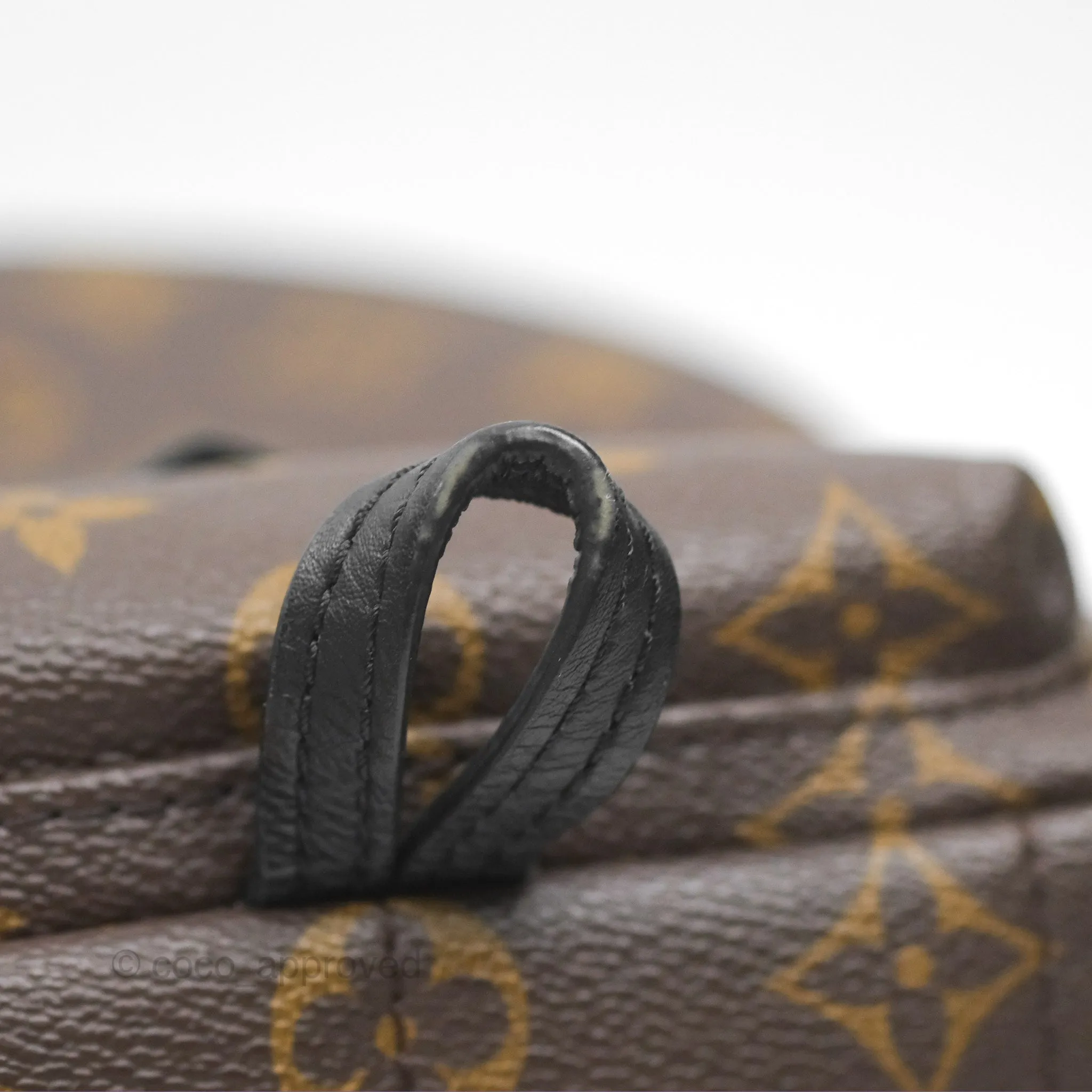 Louis Vuitton Mini Palm Springs Backpack Monogram