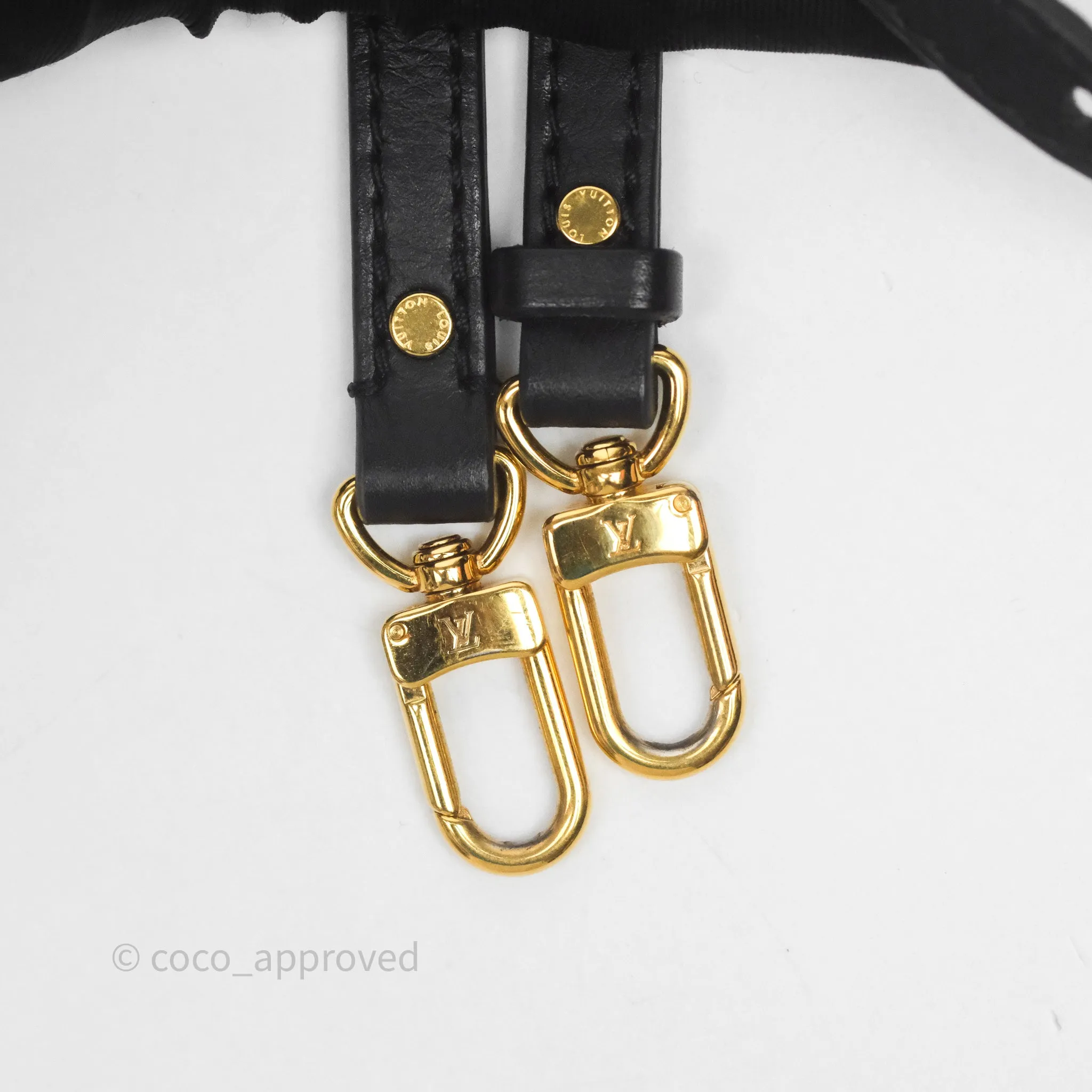Louis Vuitton Mini Palm Springs Backpack Monogram