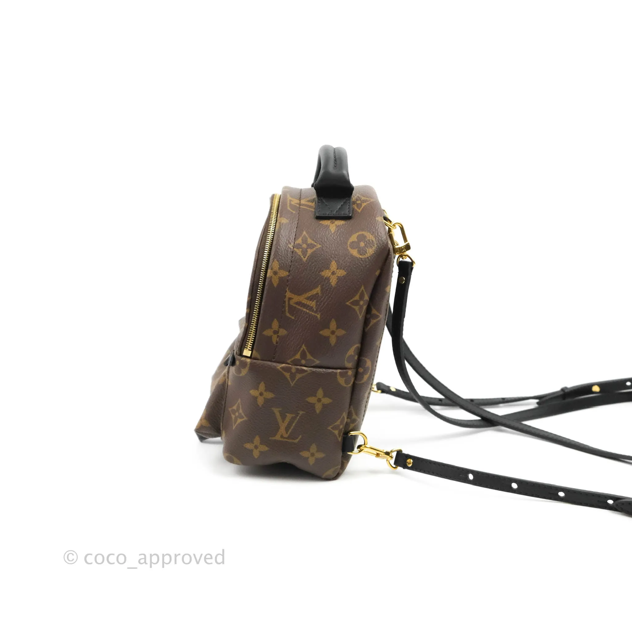 Louis Vuitton Mini Palm Springs Monogram Backpack