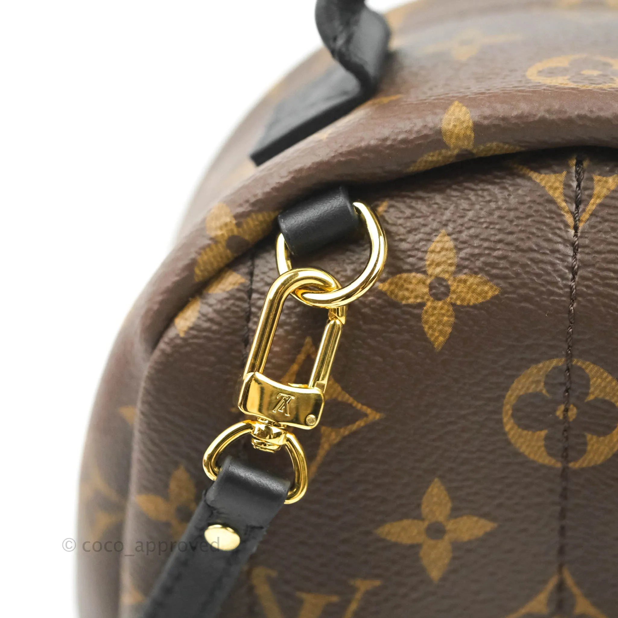 Louis Vuitton Mini Palm Springs Monogram Backpack