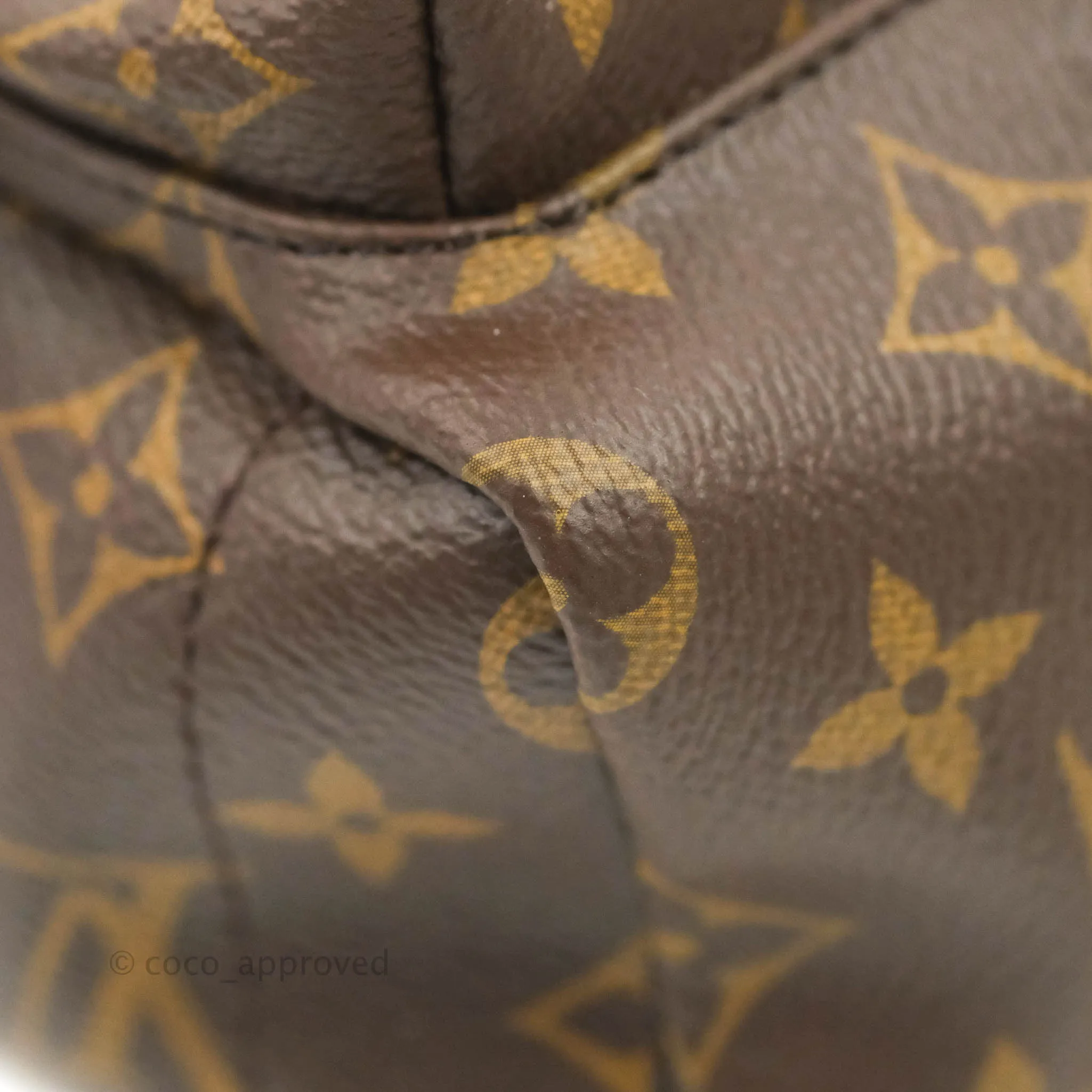 Louis Vuitton Mini Palm Springs Monogram Backpack