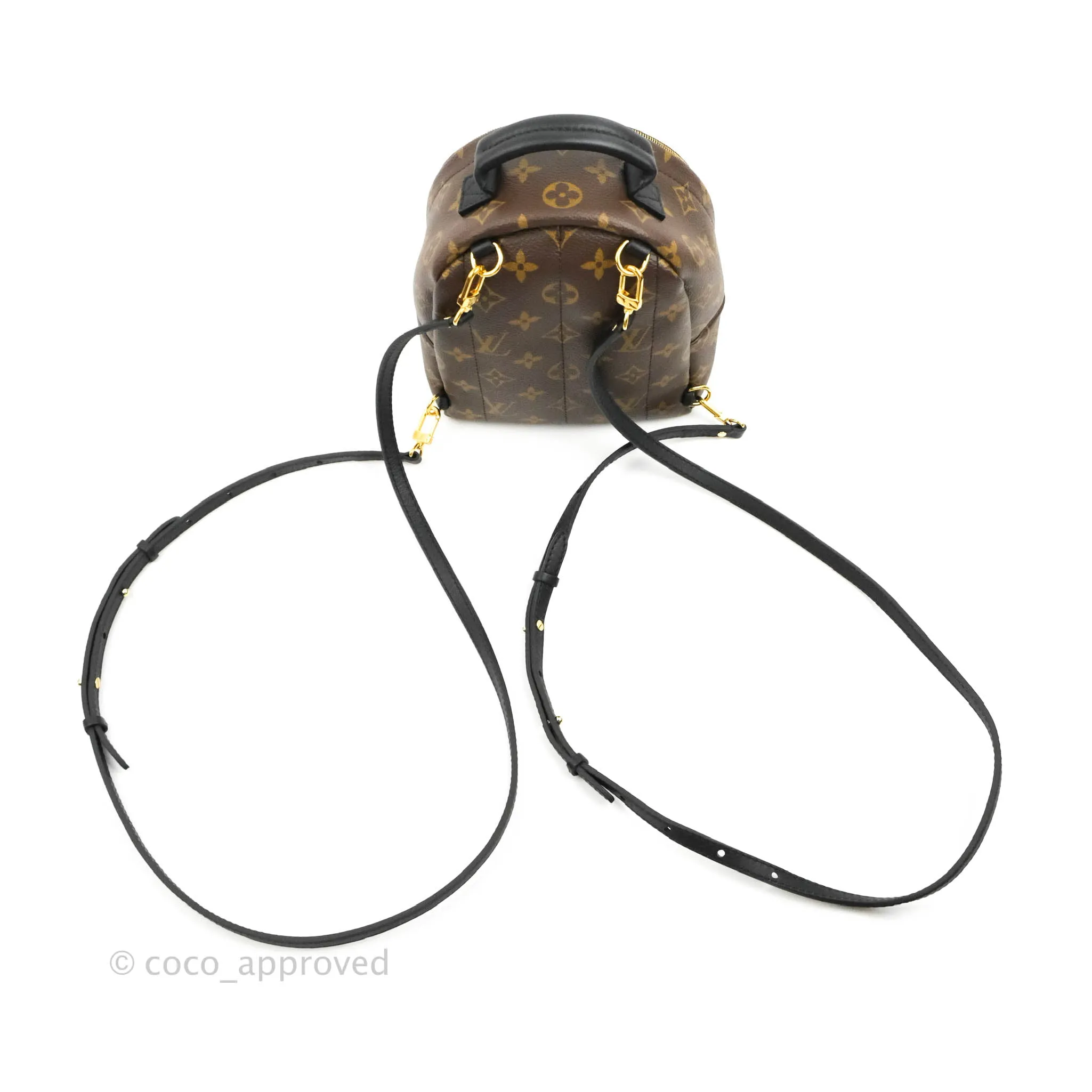 Louis Vuitton Mini Palm Springs Monogram Backpack