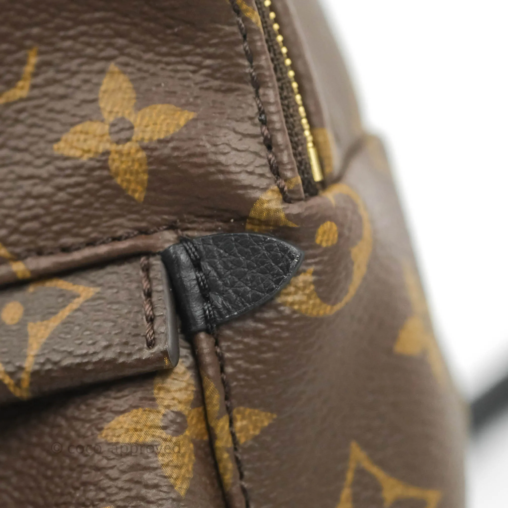 Louis Vuitton Mini Palm Springs Monogram Backpack