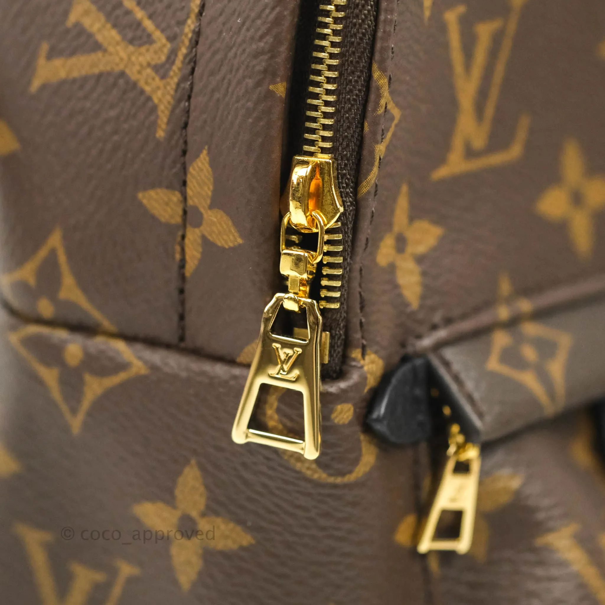 Louis Vuitton Mini Palm Springs Monogram Backpack
