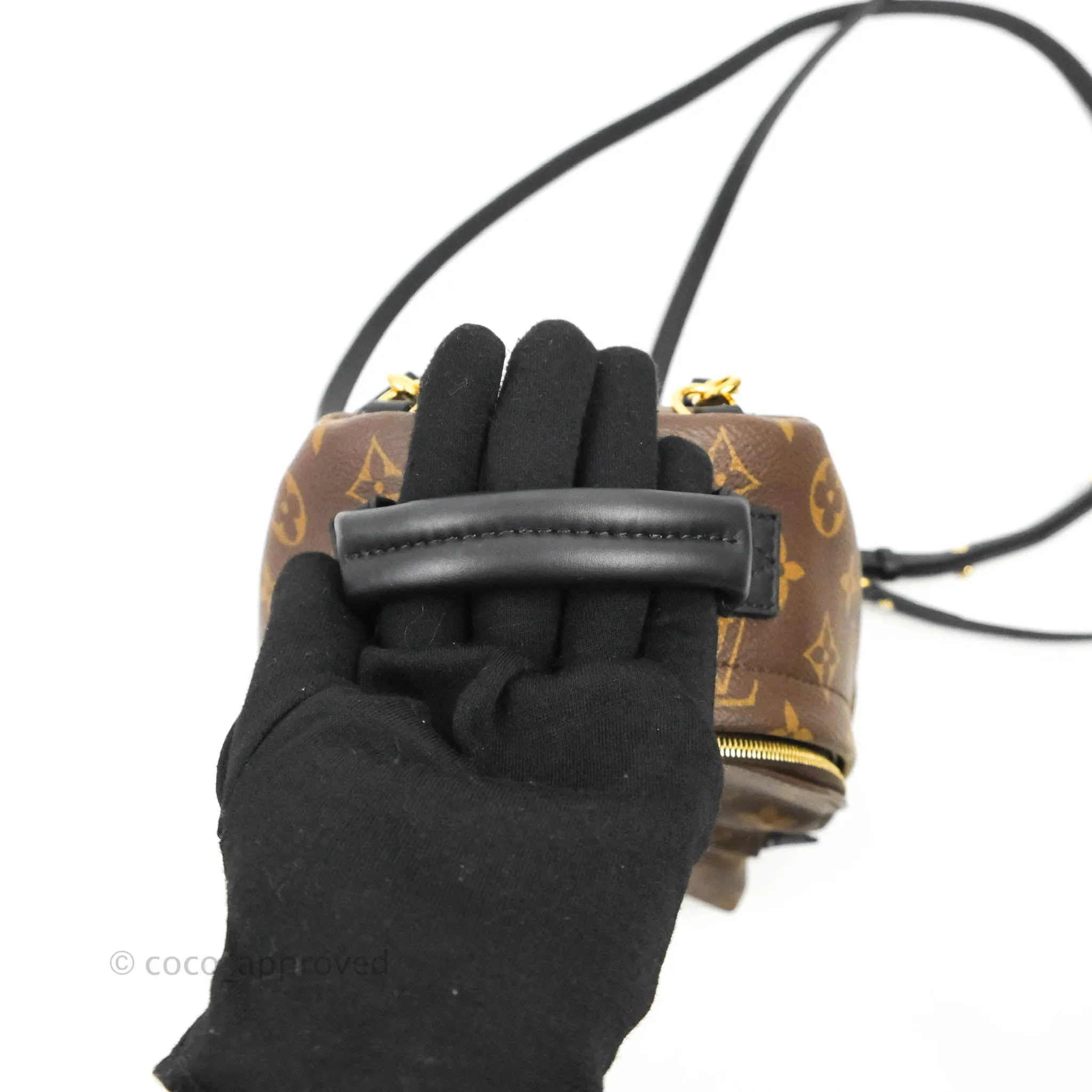 Louis Vuitton Mini Palm Springs Monogram Backpack