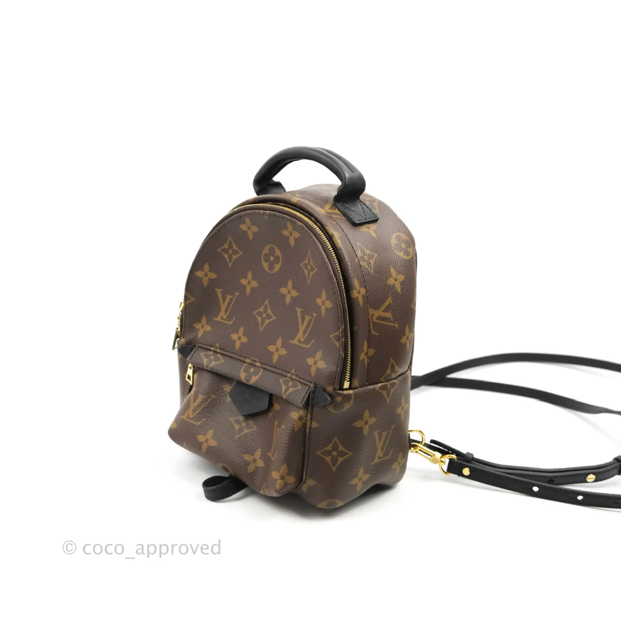Louis Vuitton Mini Palm Springs Monogram Backpack