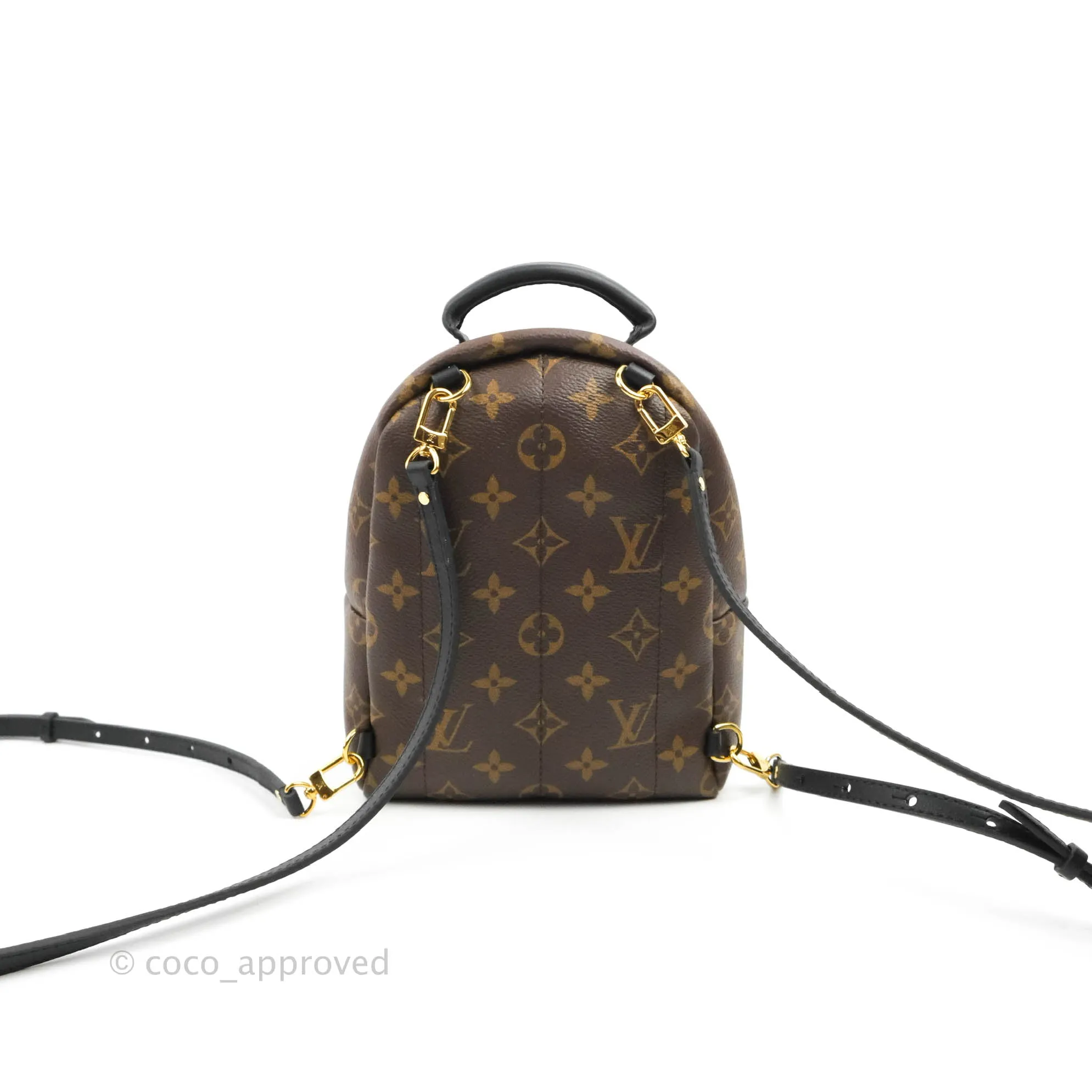Louis Vuitton Mini Palm Springs Monogram Backpack