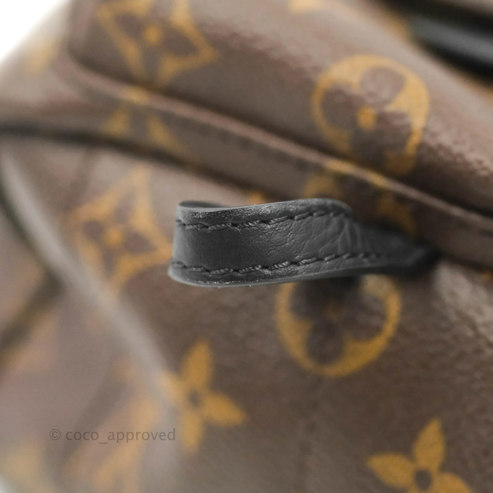 Louis Vuitton Mini Palm Springs Monogram Backpack