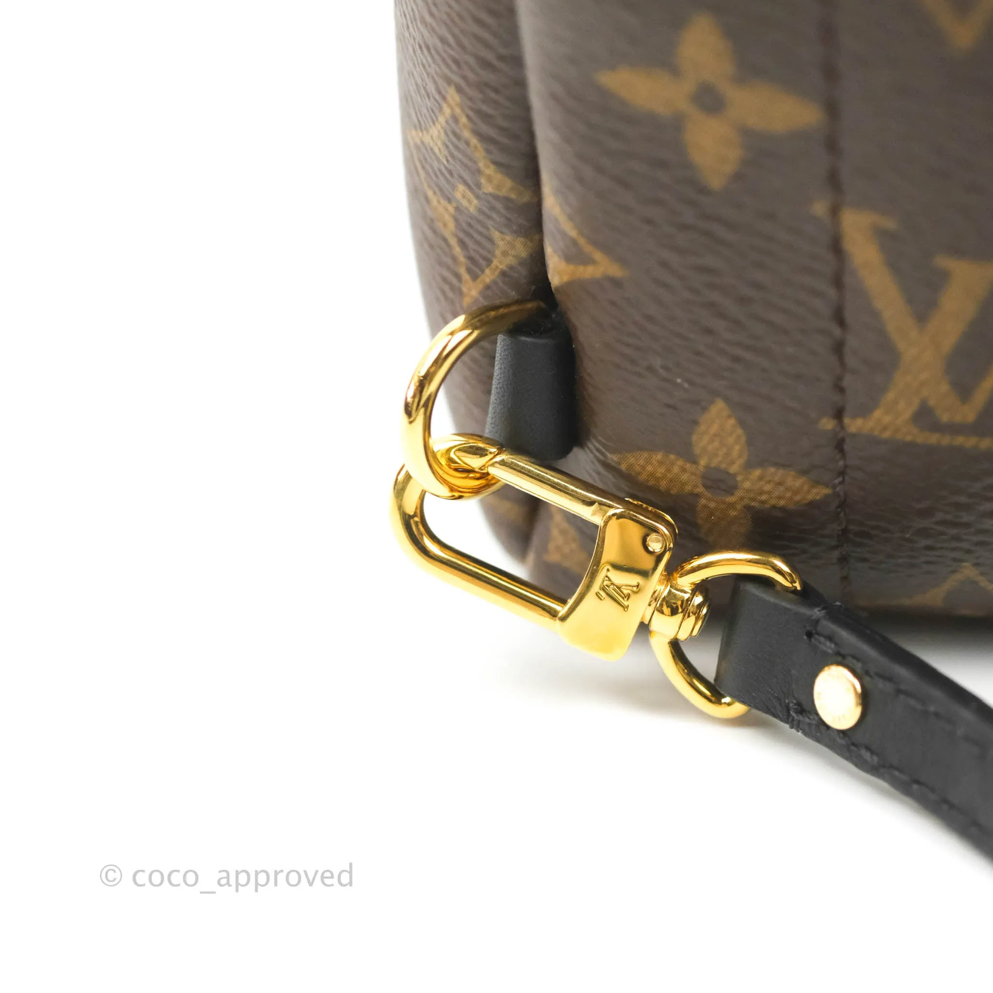 Louis Vuitton Mini Palm Springs Monogram Backpack