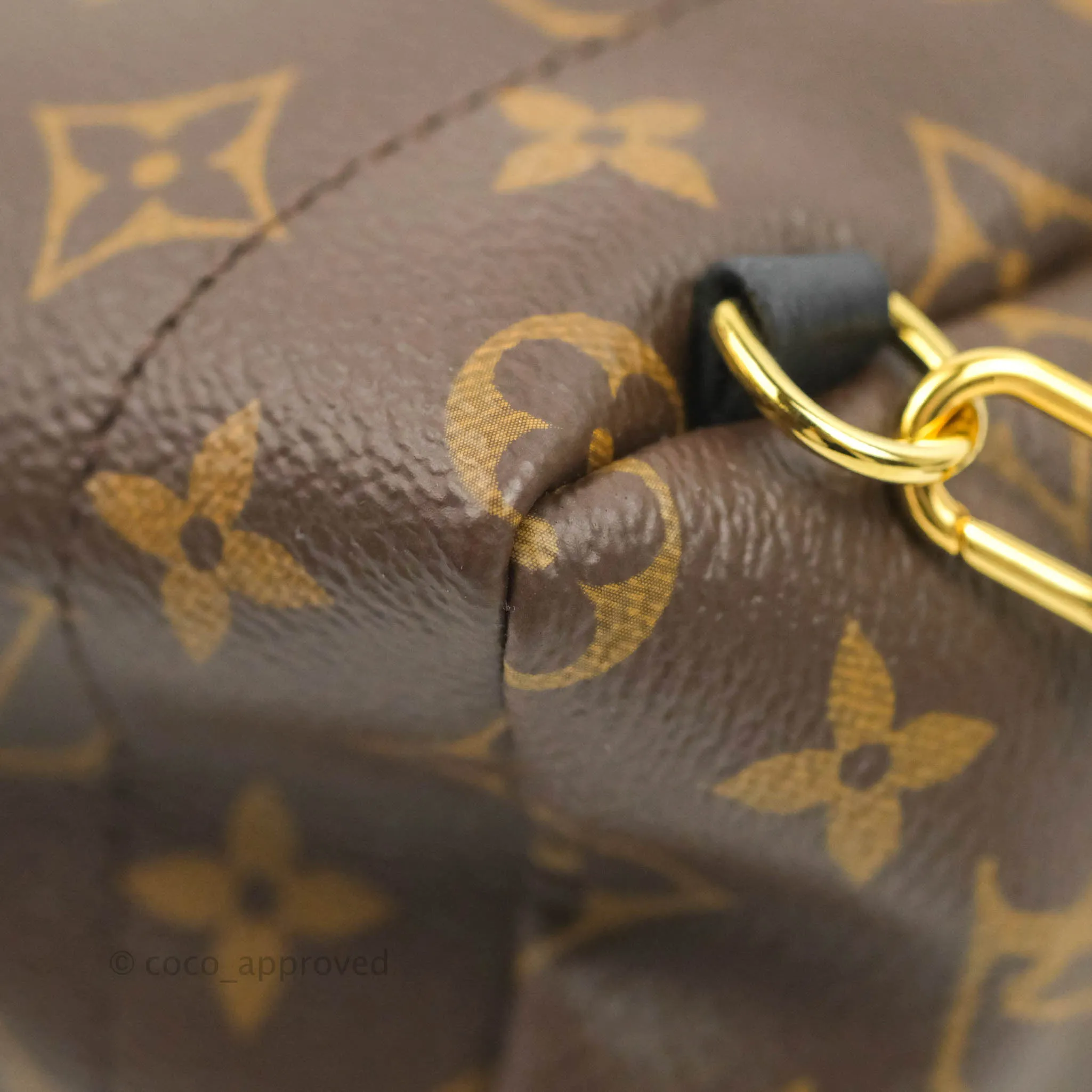 Louis Vuitton Mini Palm Springs Monogram Backpack