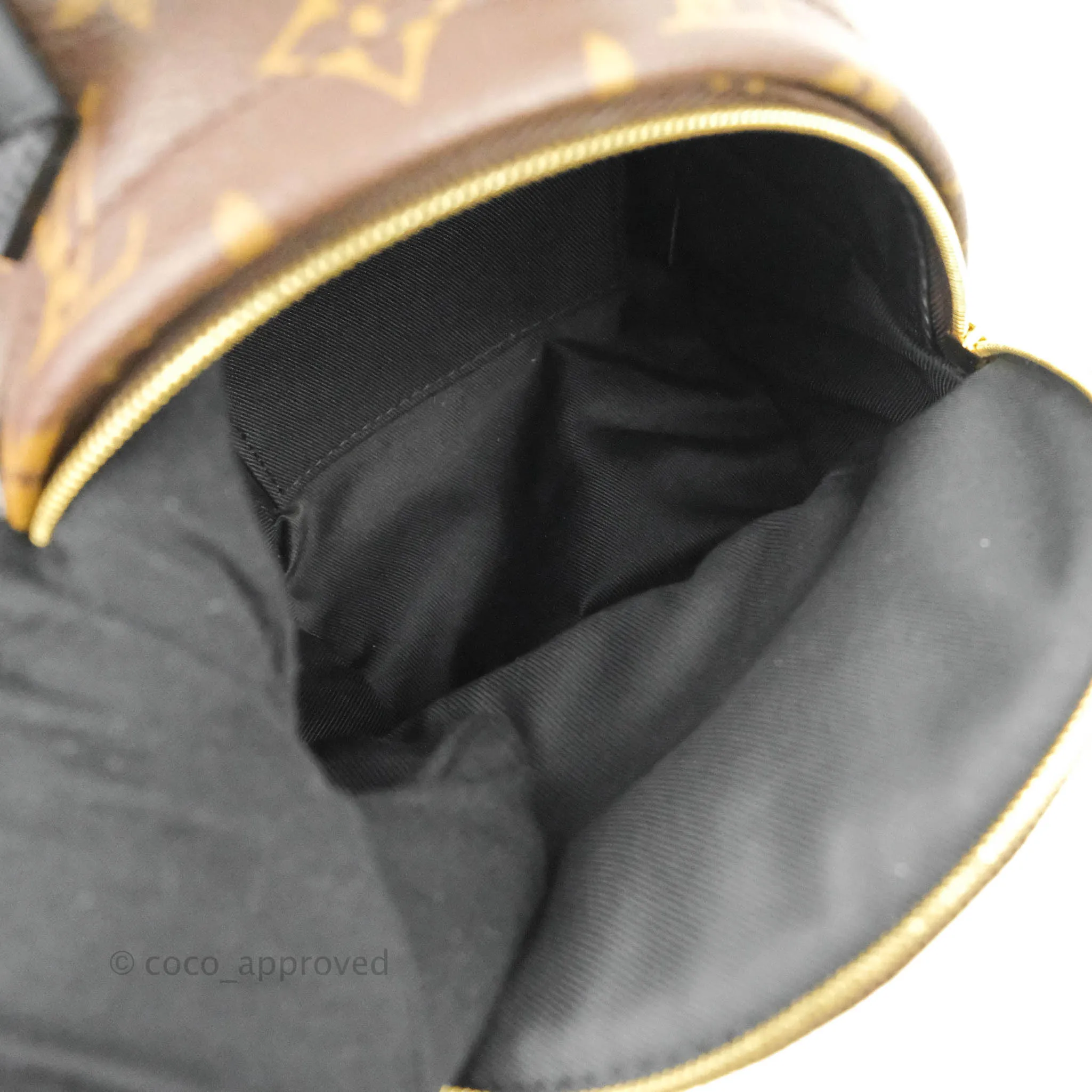 Louis Vuitton Mini Palm Springs Monogram Backpack