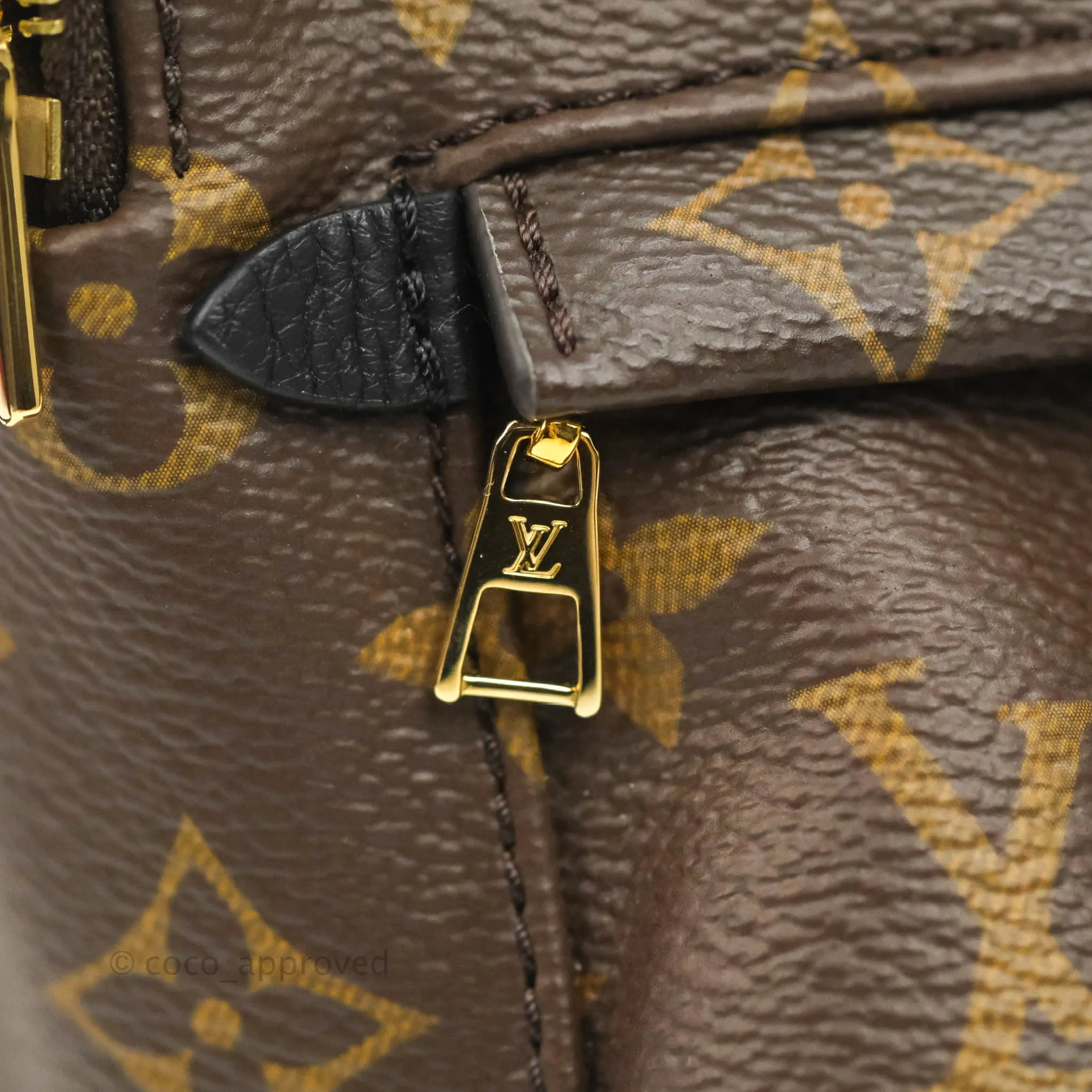 Louis Vuitton Mini Palm Springs Monogram Backpack