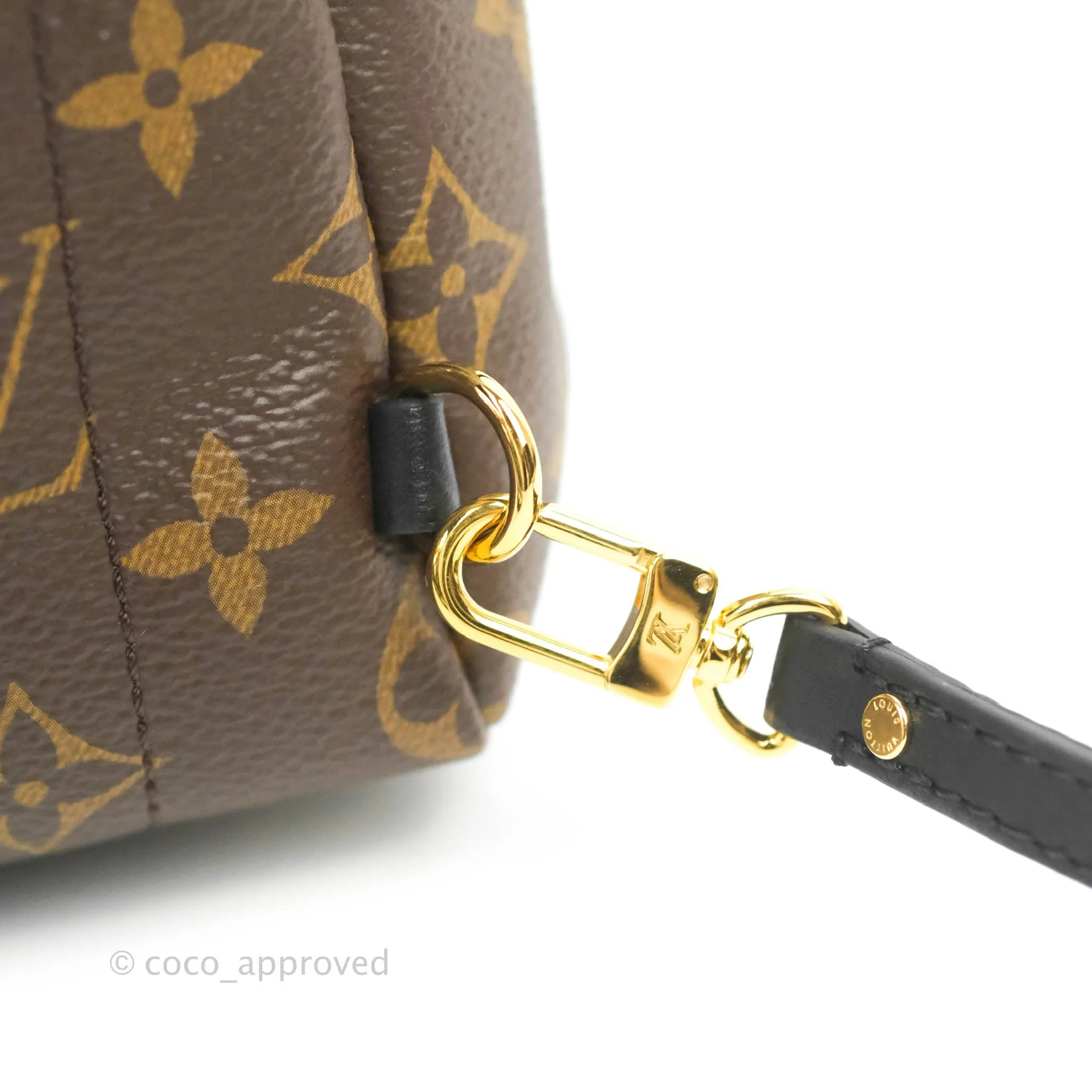 Louis Vuitton Mini Palm Springs Monogram Backpack
