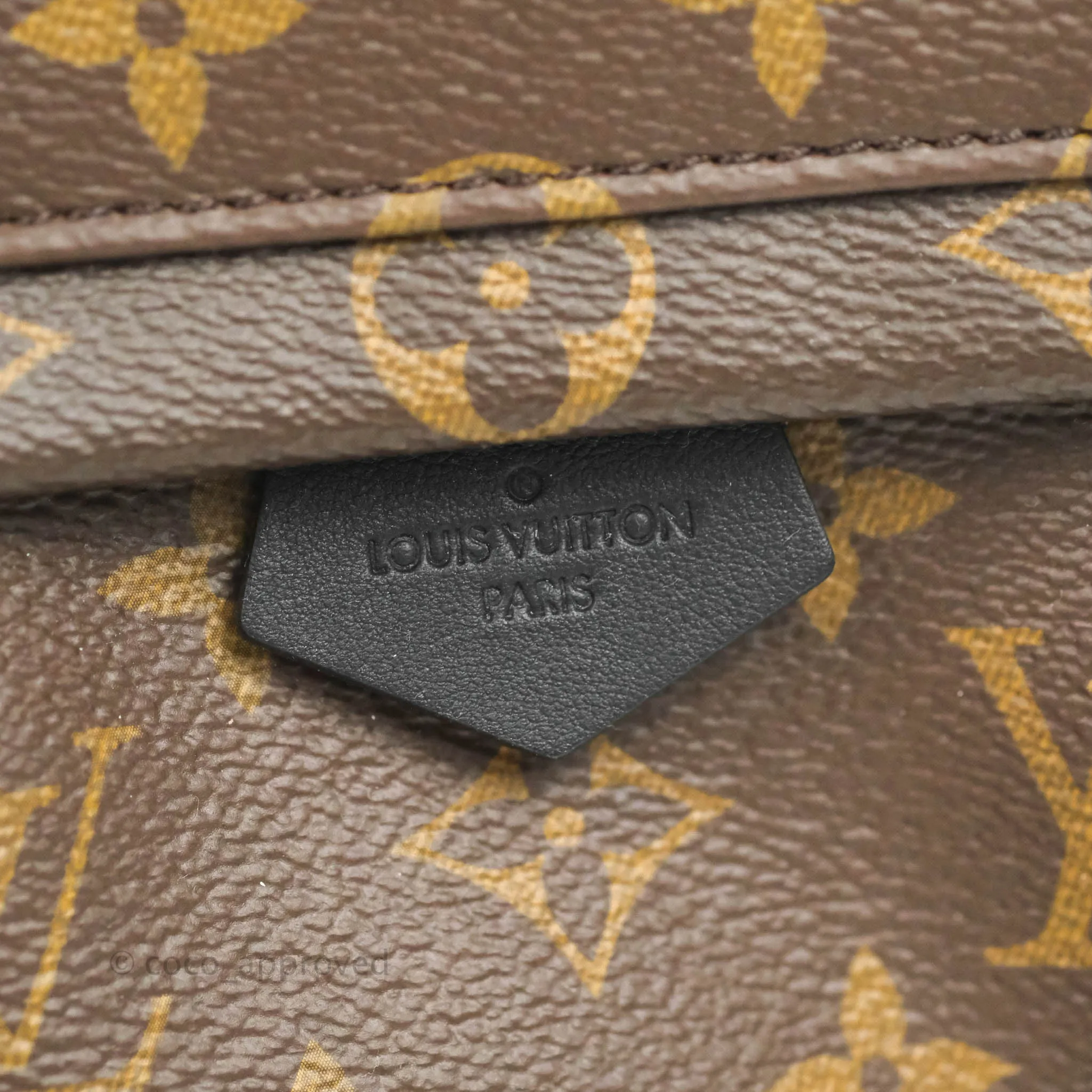 Louis Vuitton Mini Palm Springs Monogram Backpack