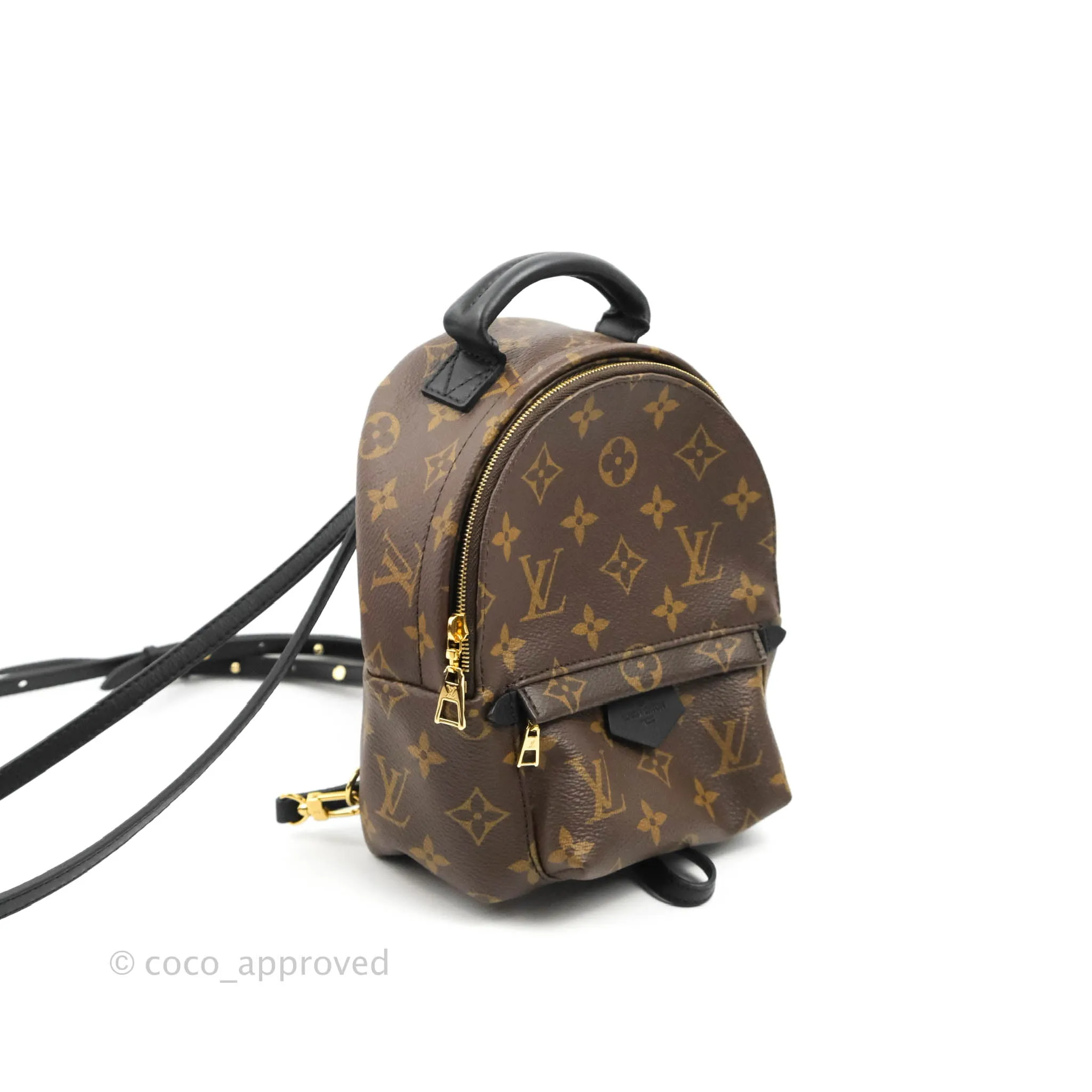 Louis Vuitton Mini Palm Springs Monogram Backpack