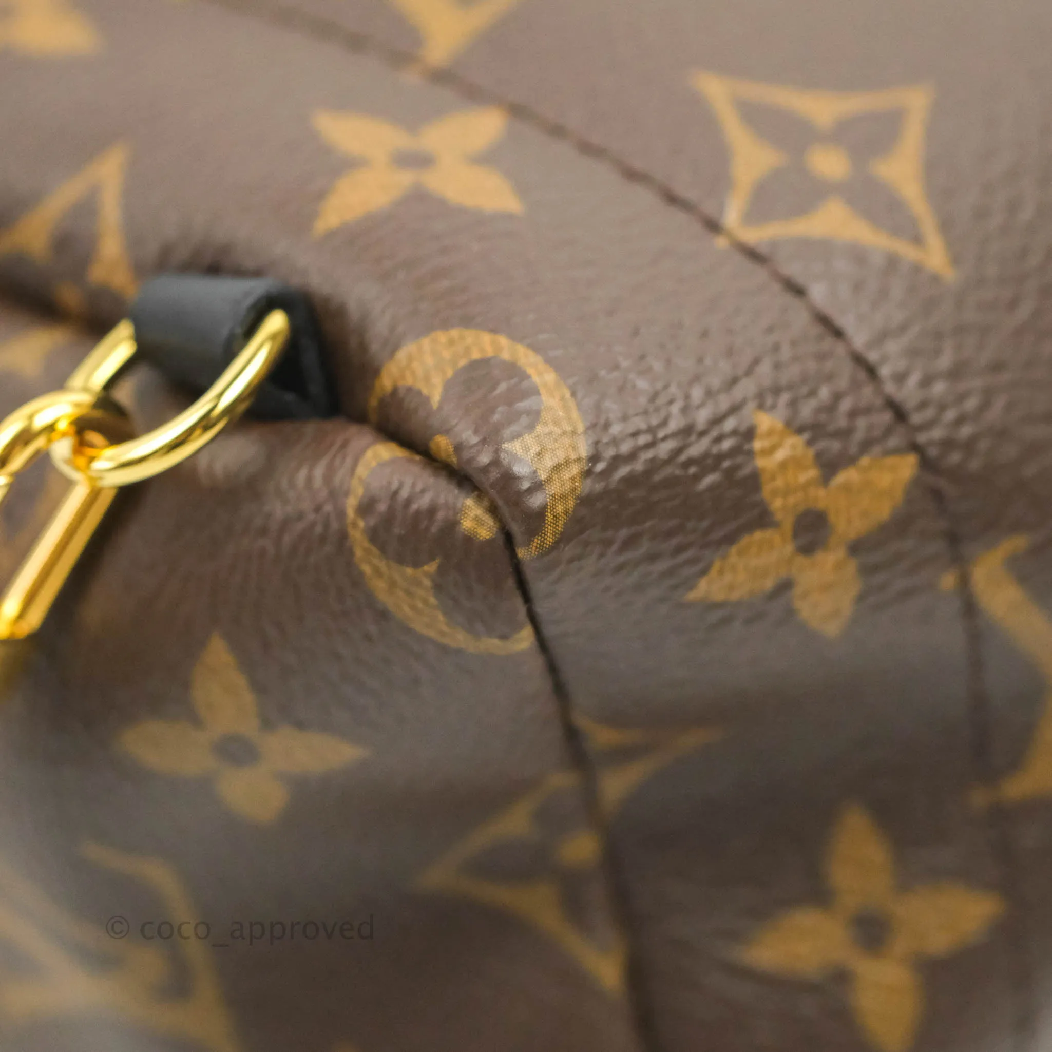 Louis Vuitton Mini Palm Springs Monogram Backpack