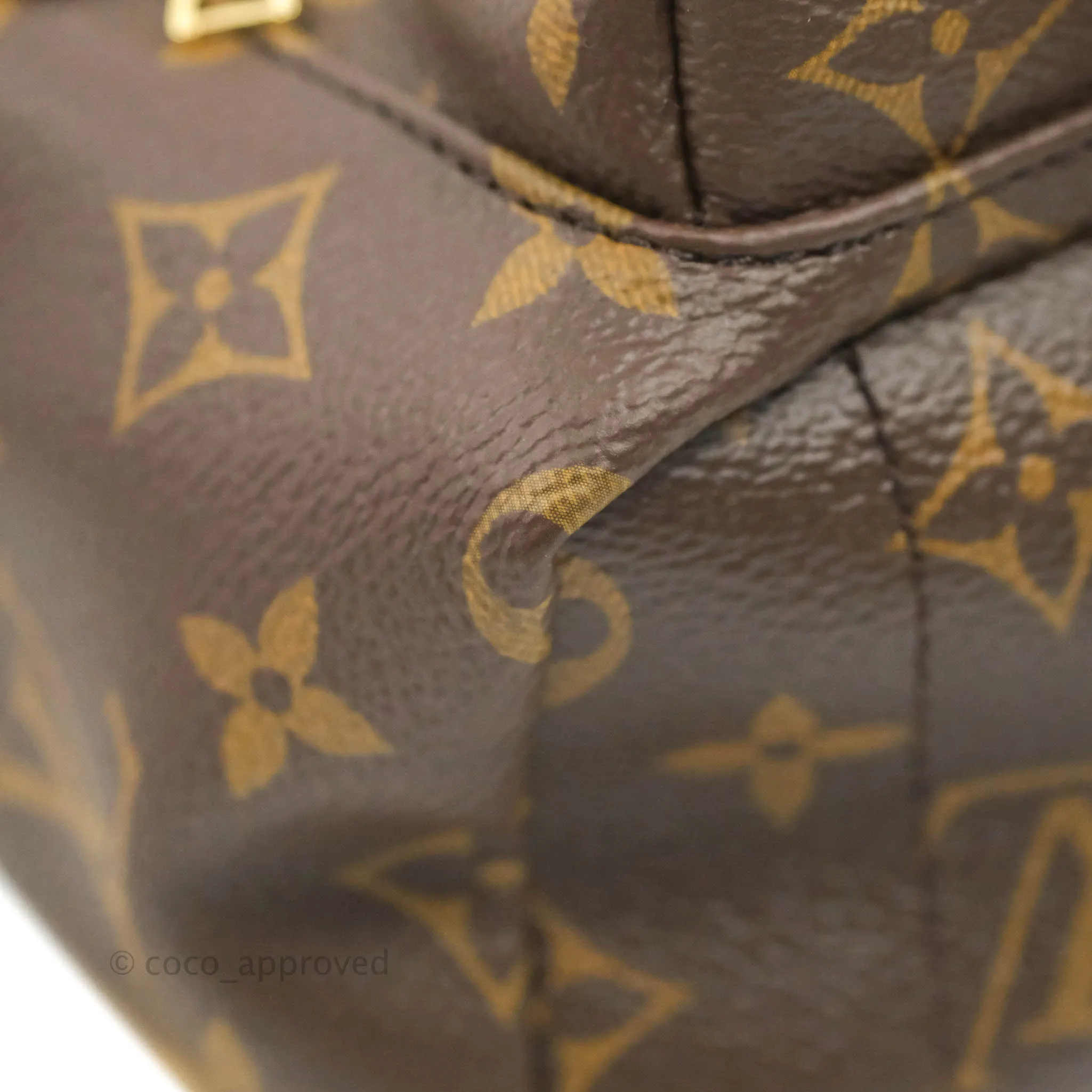 Louis Vuitton Mini Palm Springs Monogram Backpack