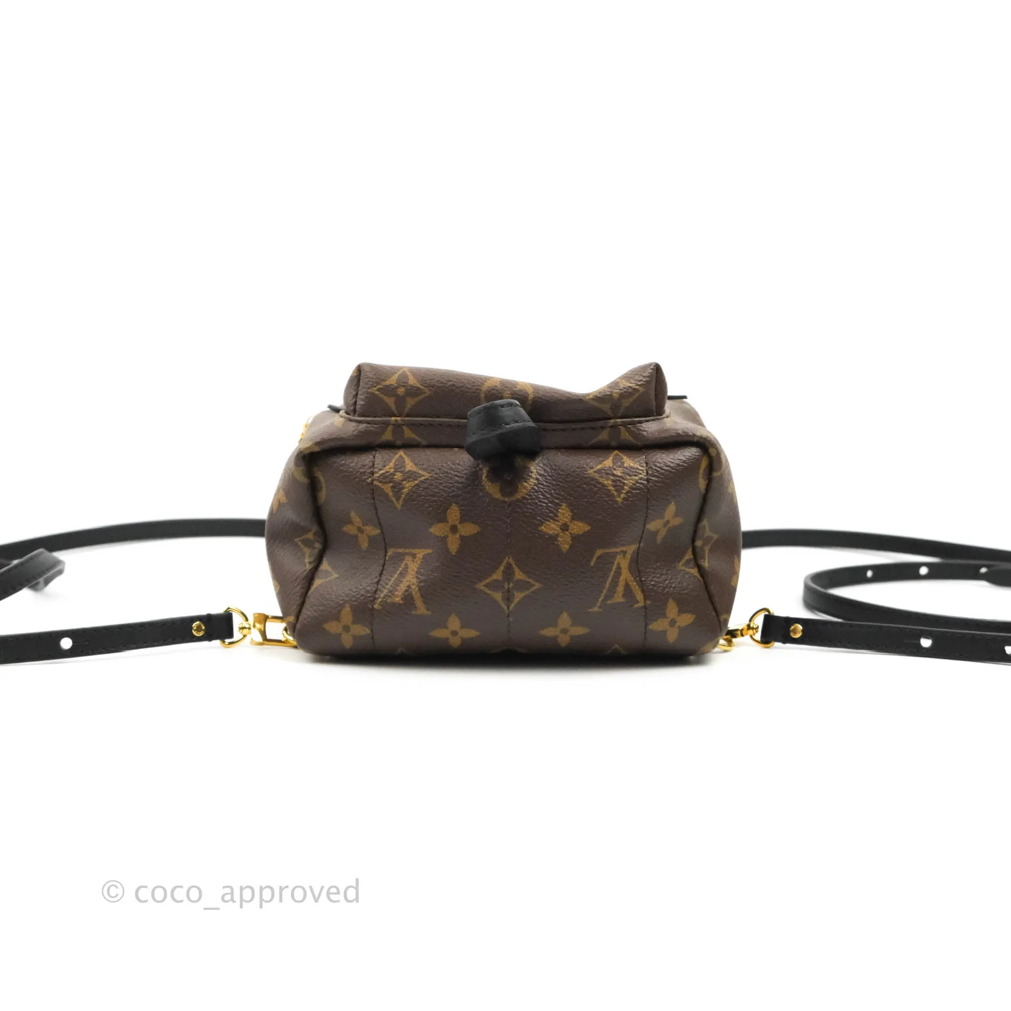 Louis Vuitton Mini Palm Springs Monogram Backpack