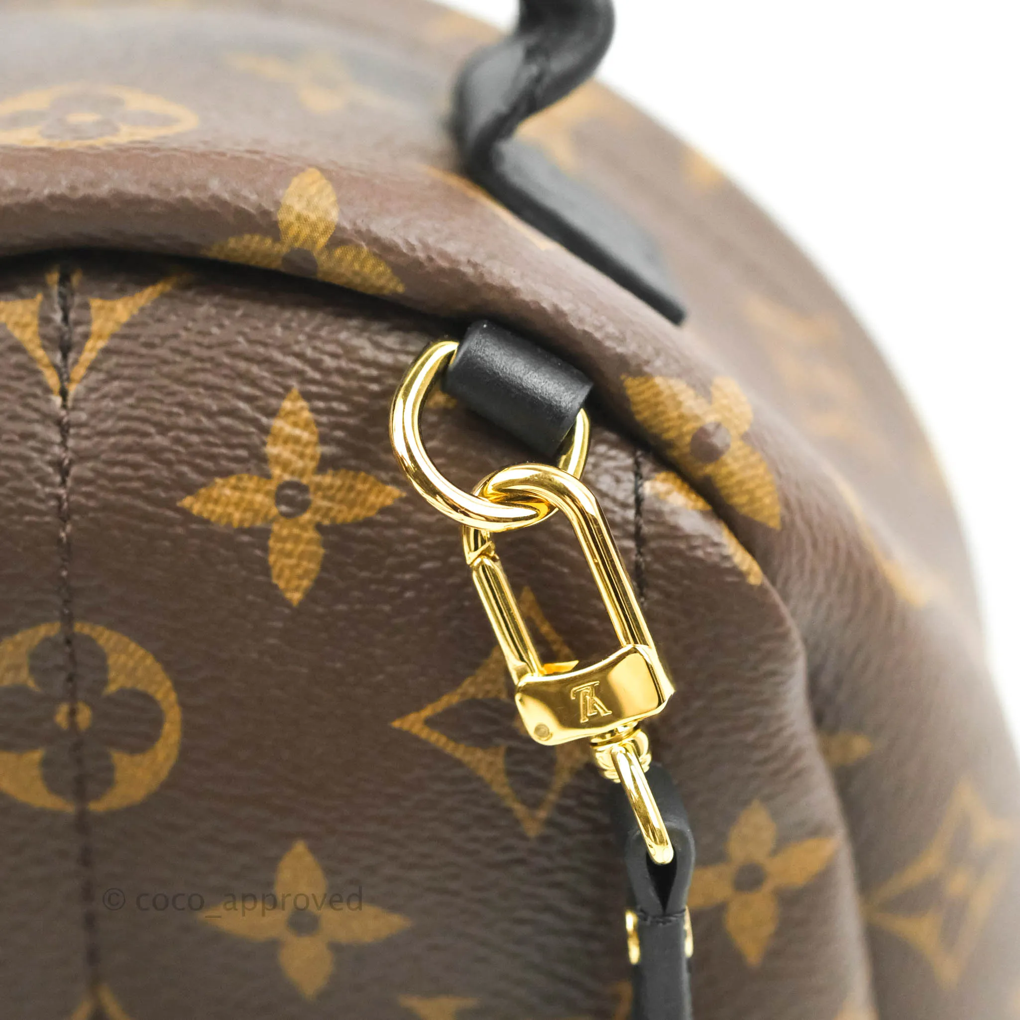 Louis Vuitton Mini Palm Springs Monogram Backpack