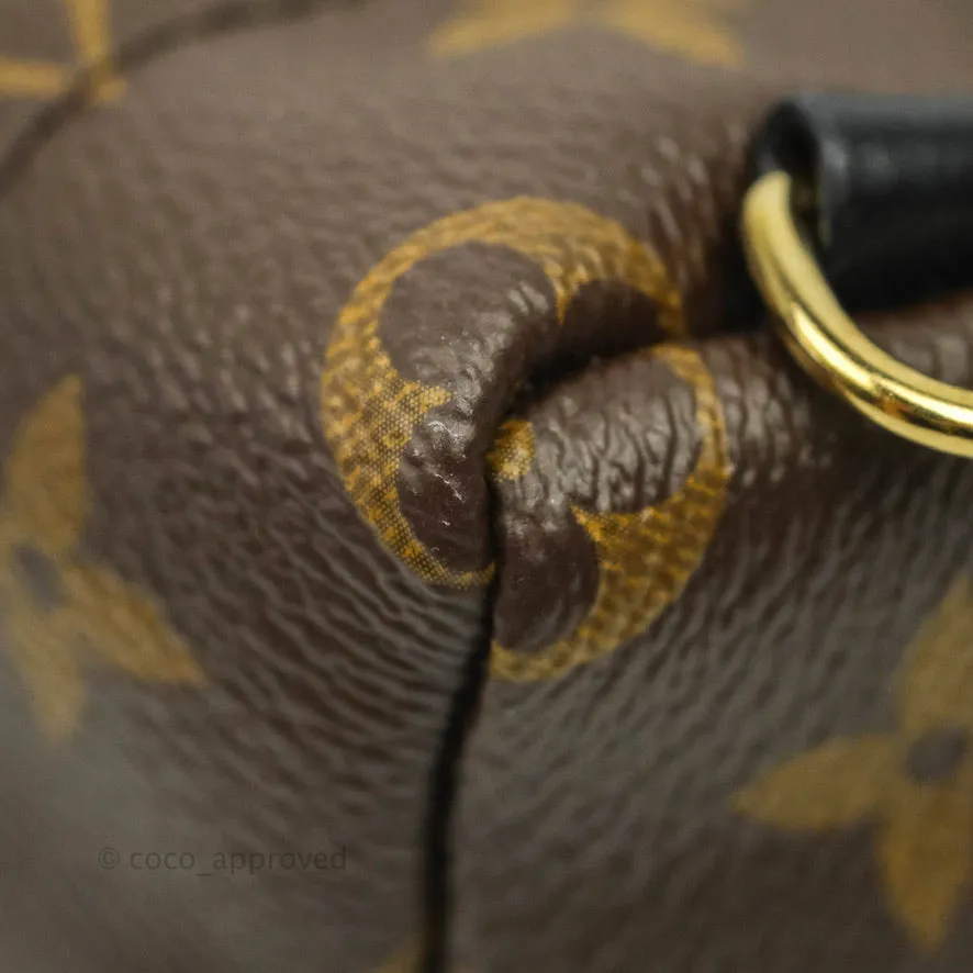 Louis Vuitton Mini Palm Springs Monogram Canvas Backpack