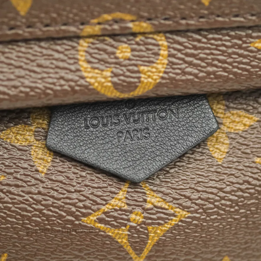 Louis Vuitton Mini Palm Springs Monogram Canvas Backpack