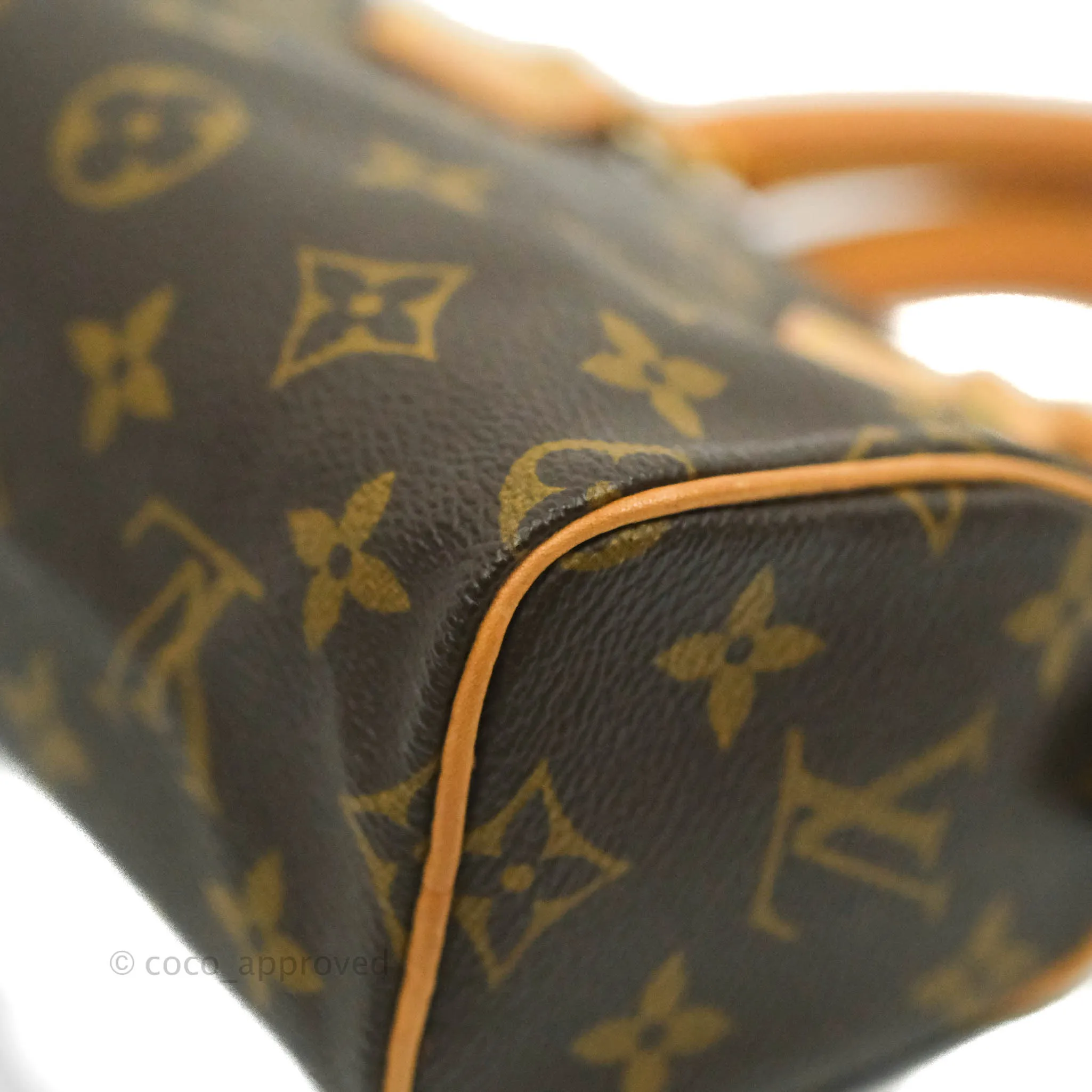 Louis Vuitton Monogram Canvas Nano Speedy Vintage