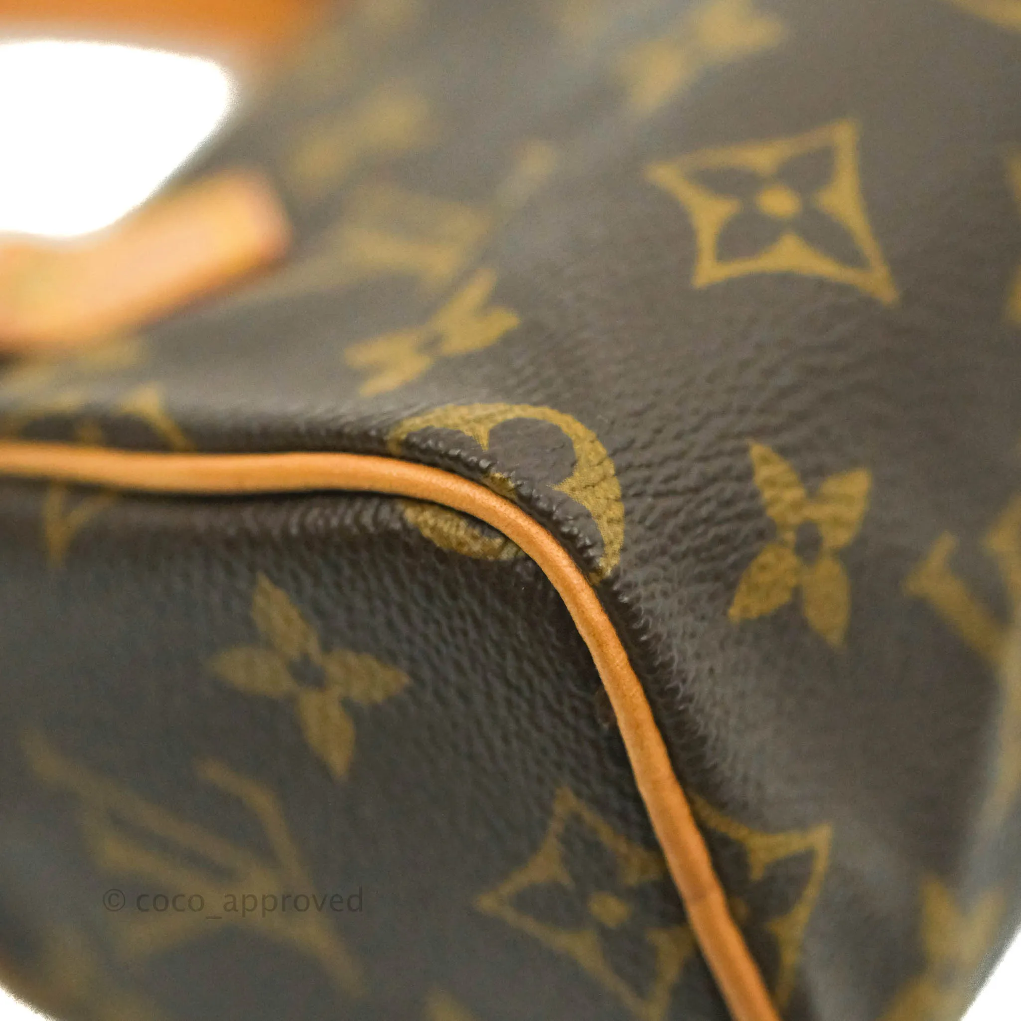 Louis Vuitton Monogram Canvas Nano Speedy Vintage