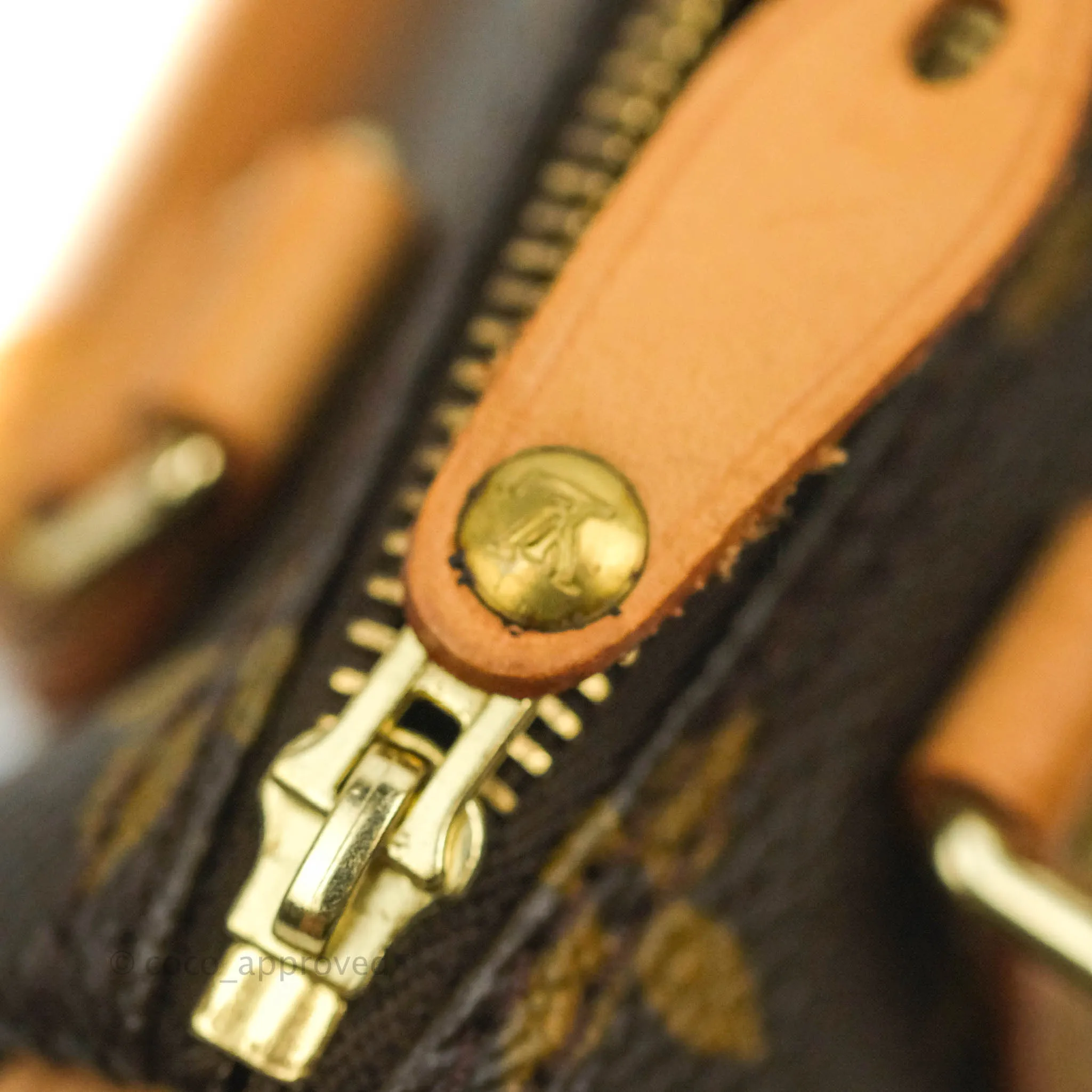 Louis Vuitton Monogram Canvas Nano Speedy Vintage