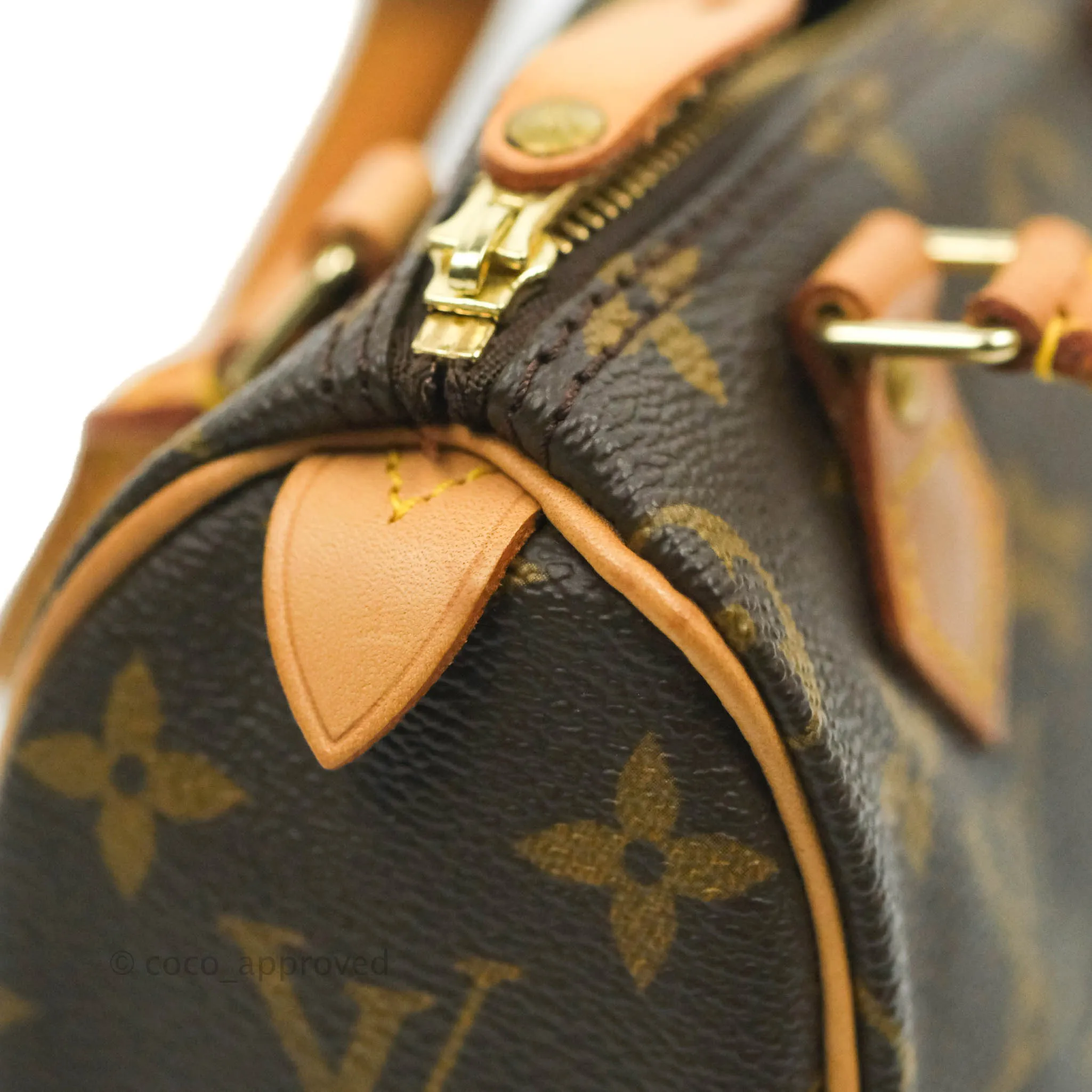 Louis Vuitton Monogram Canvas Nano Speedy Vintage