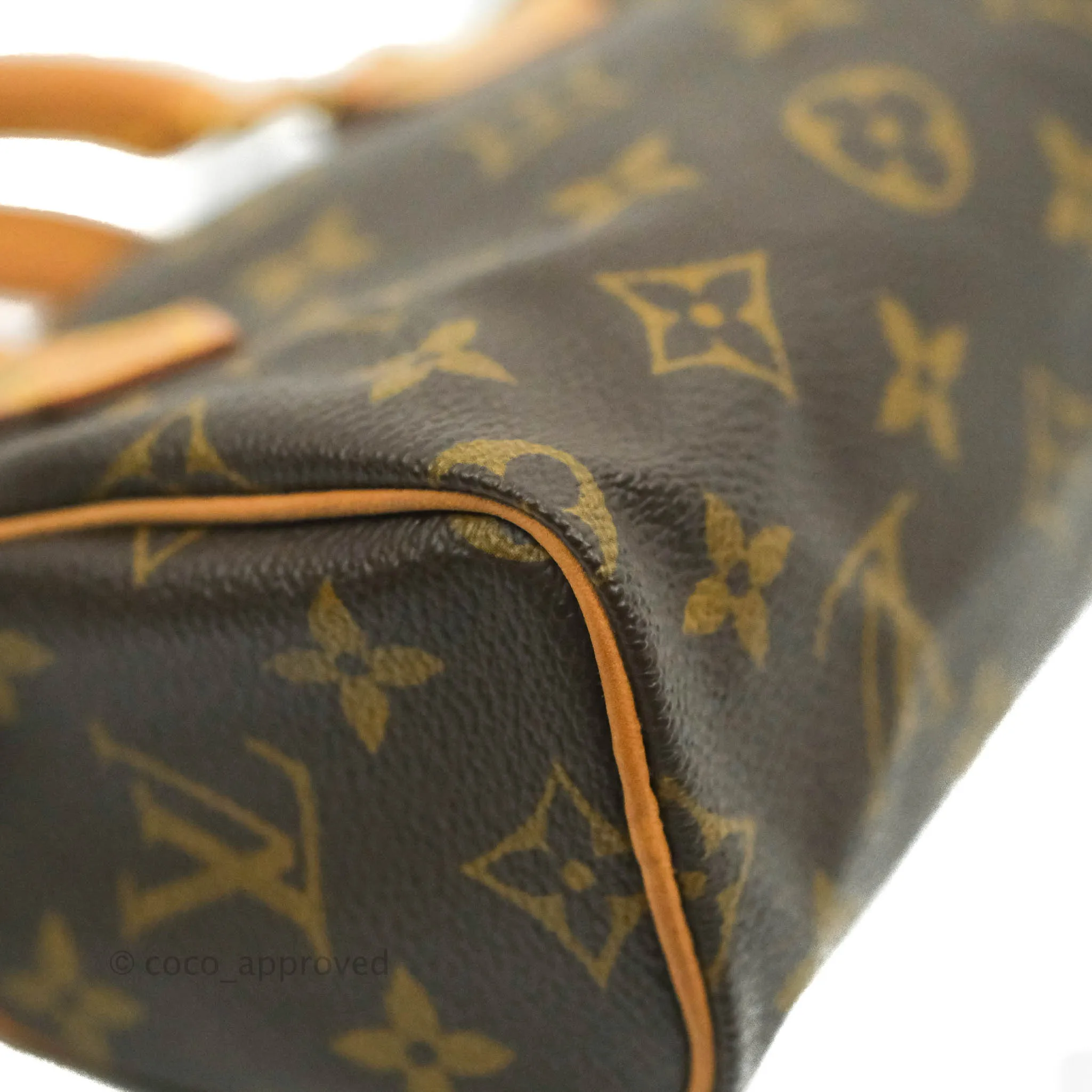 Louis Vuitton Monogram Canvas Nano Speedy Vintage